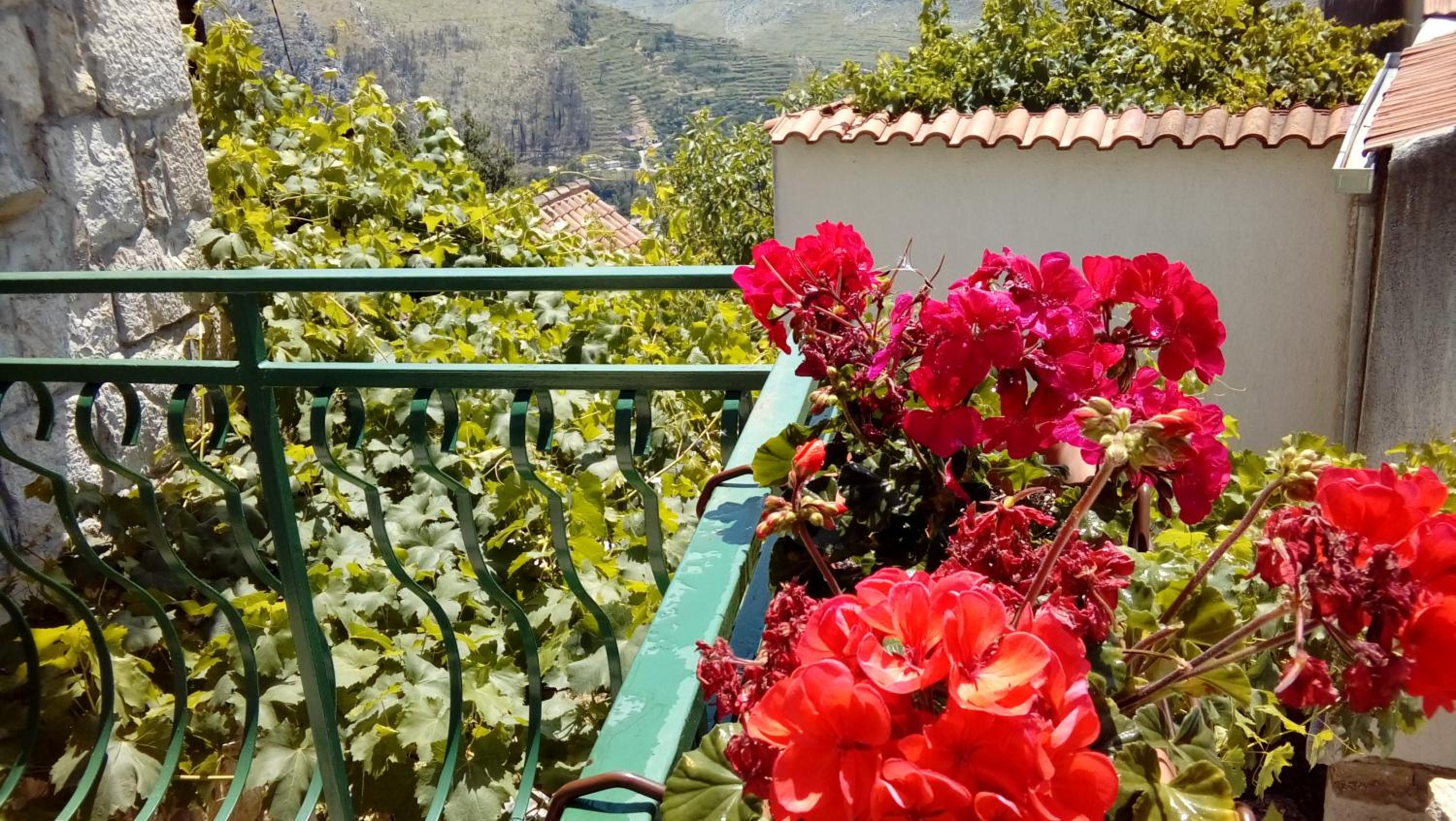 Holiday Home Ana view 4