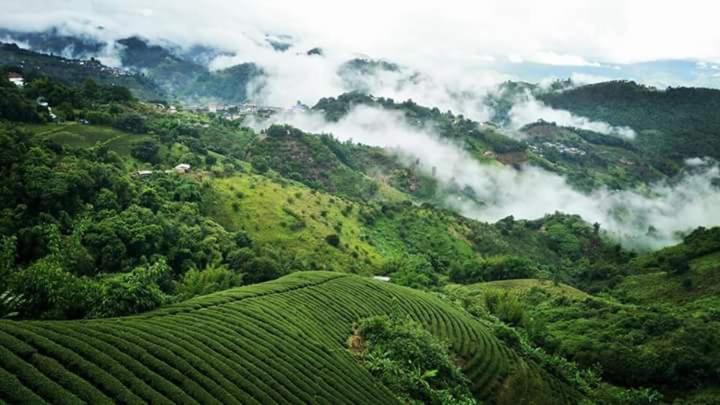 Baan Ruam Cha