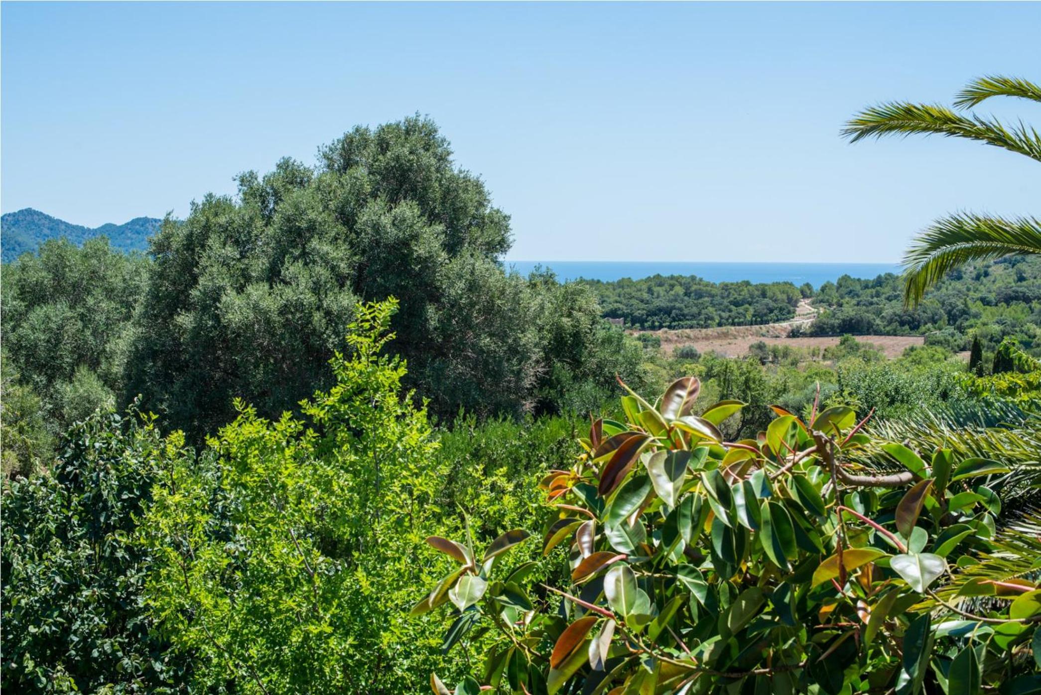 Es Rafal De Baix view 5