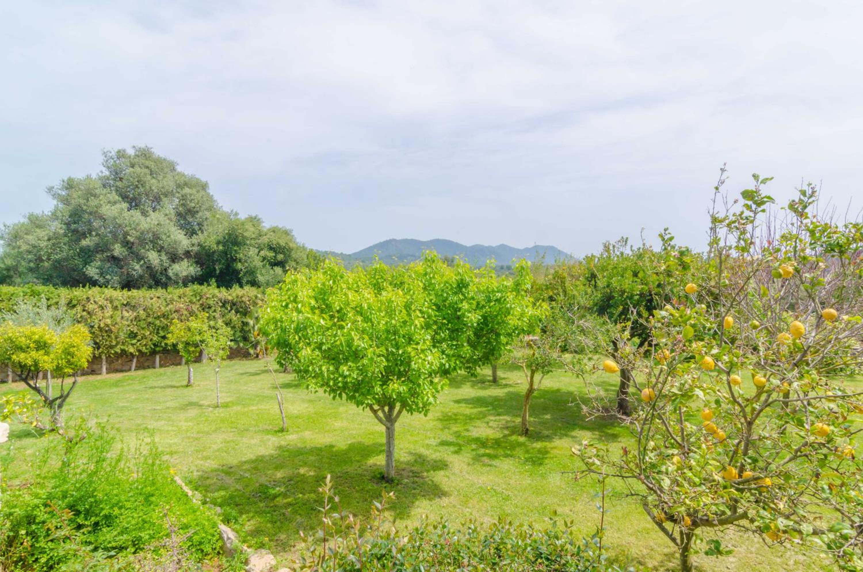 Es Rafal De Baix view 3