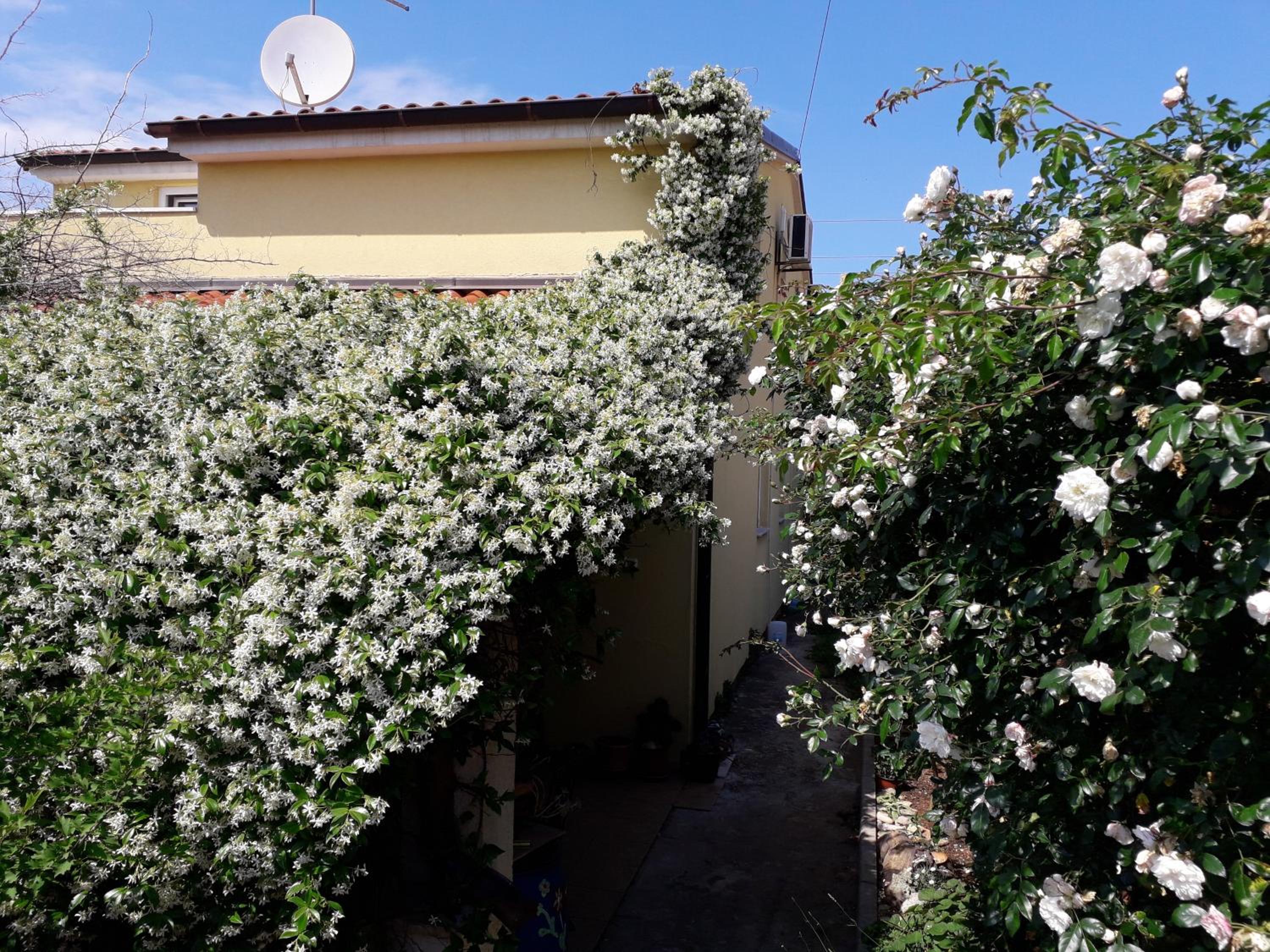 Apartment Samanta view 3