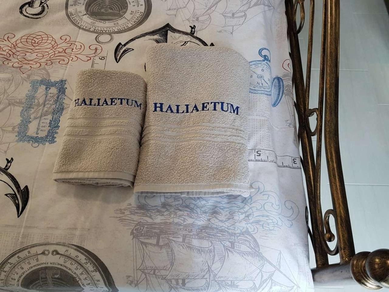 Apartments HALIAETUM view 5