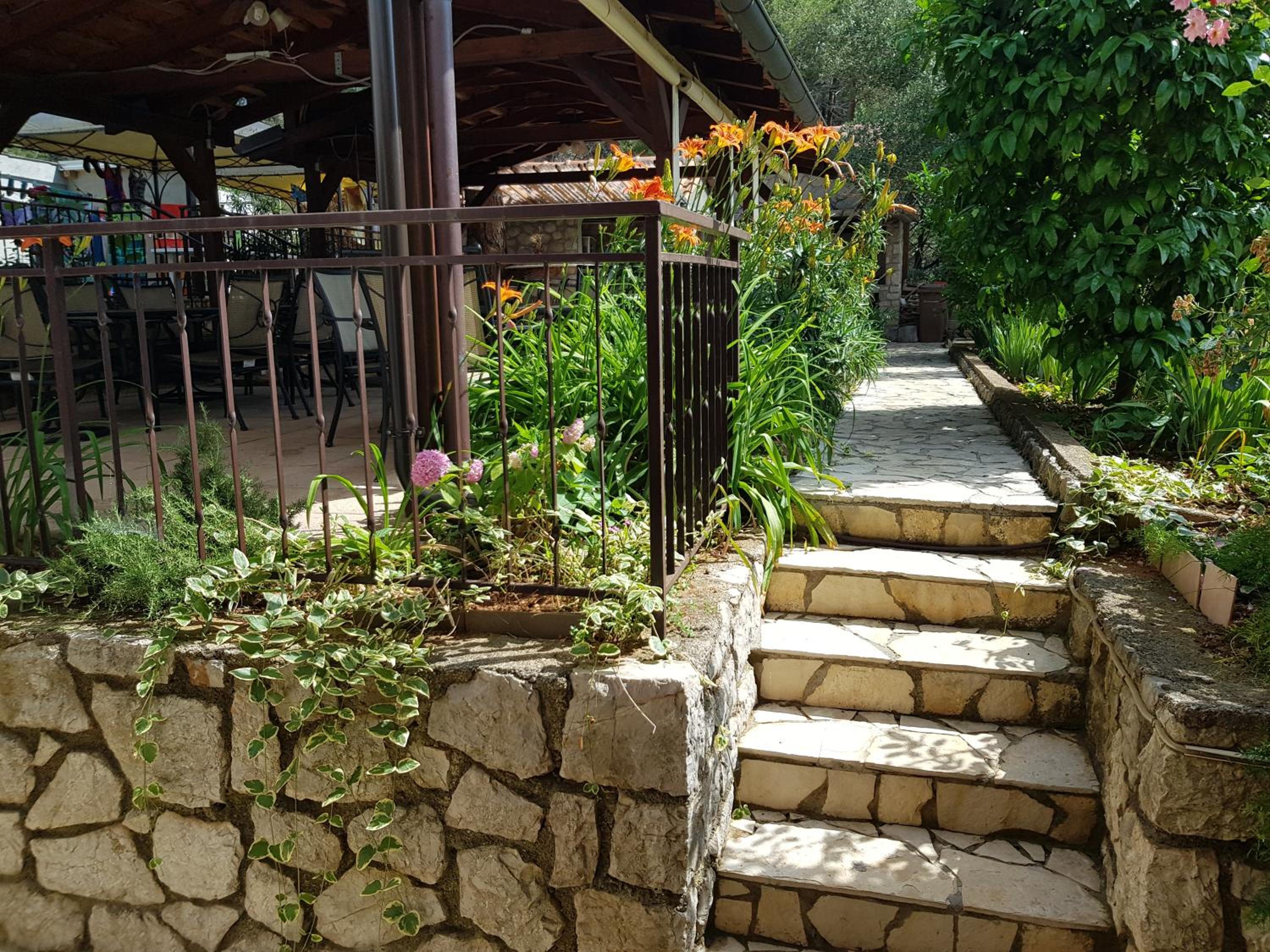 Photo 15