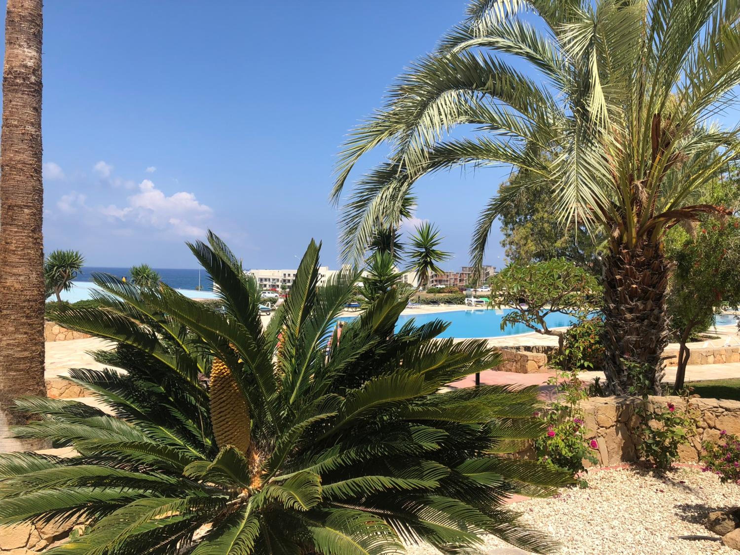 Kings Palace - fabulous pool-side 2 bed apartment