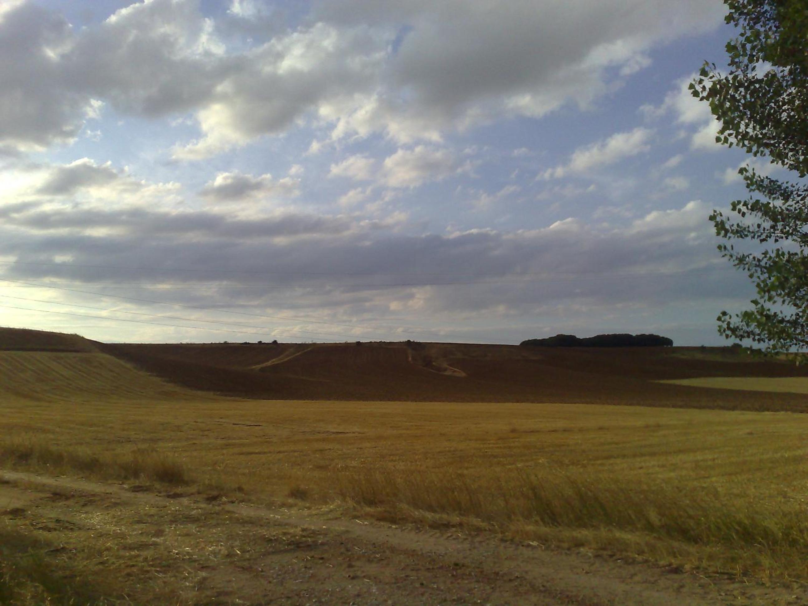 Photo 56