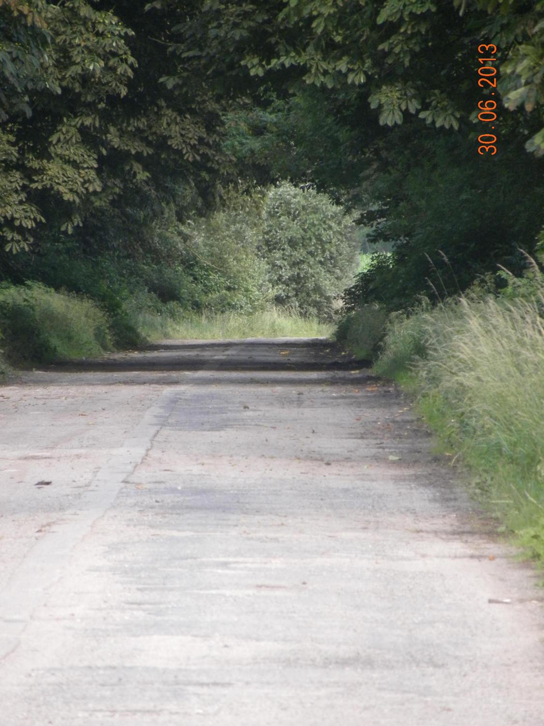 Photo 25