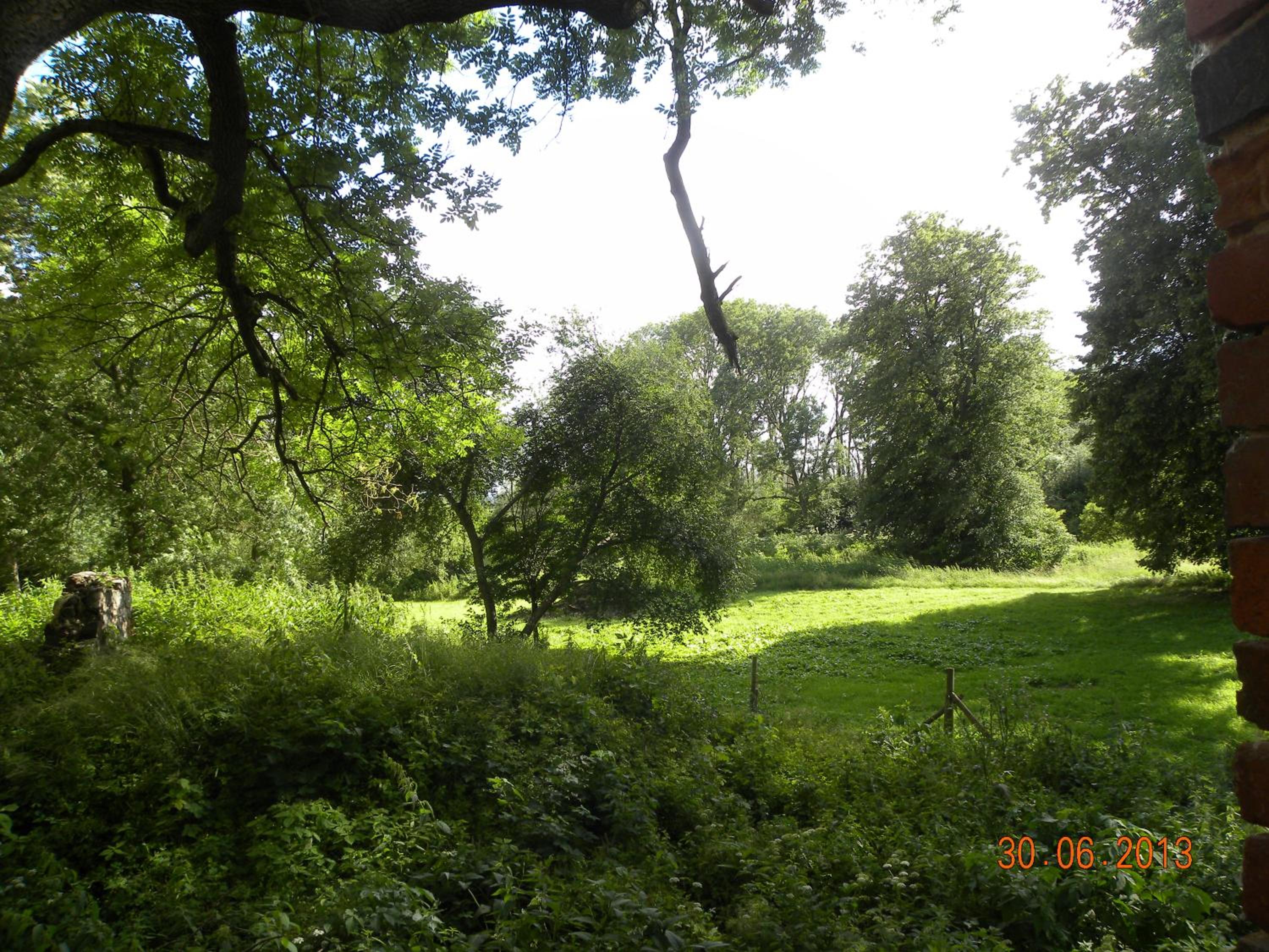 Photo 26