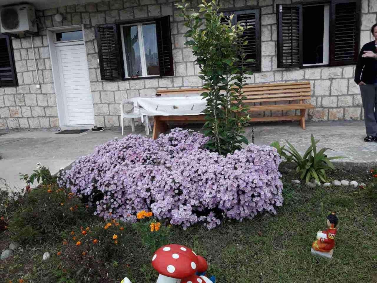 Photo 24