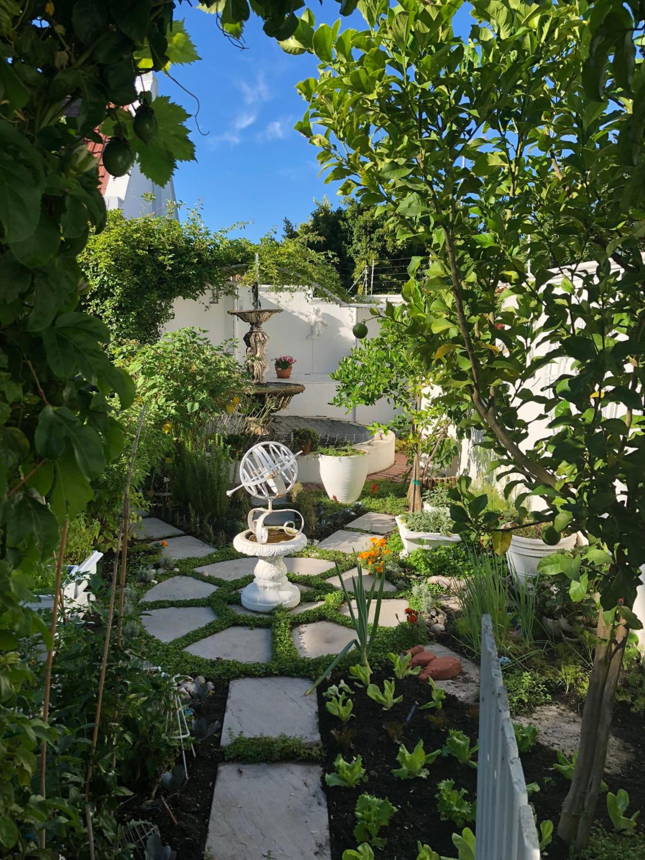 Photo 25