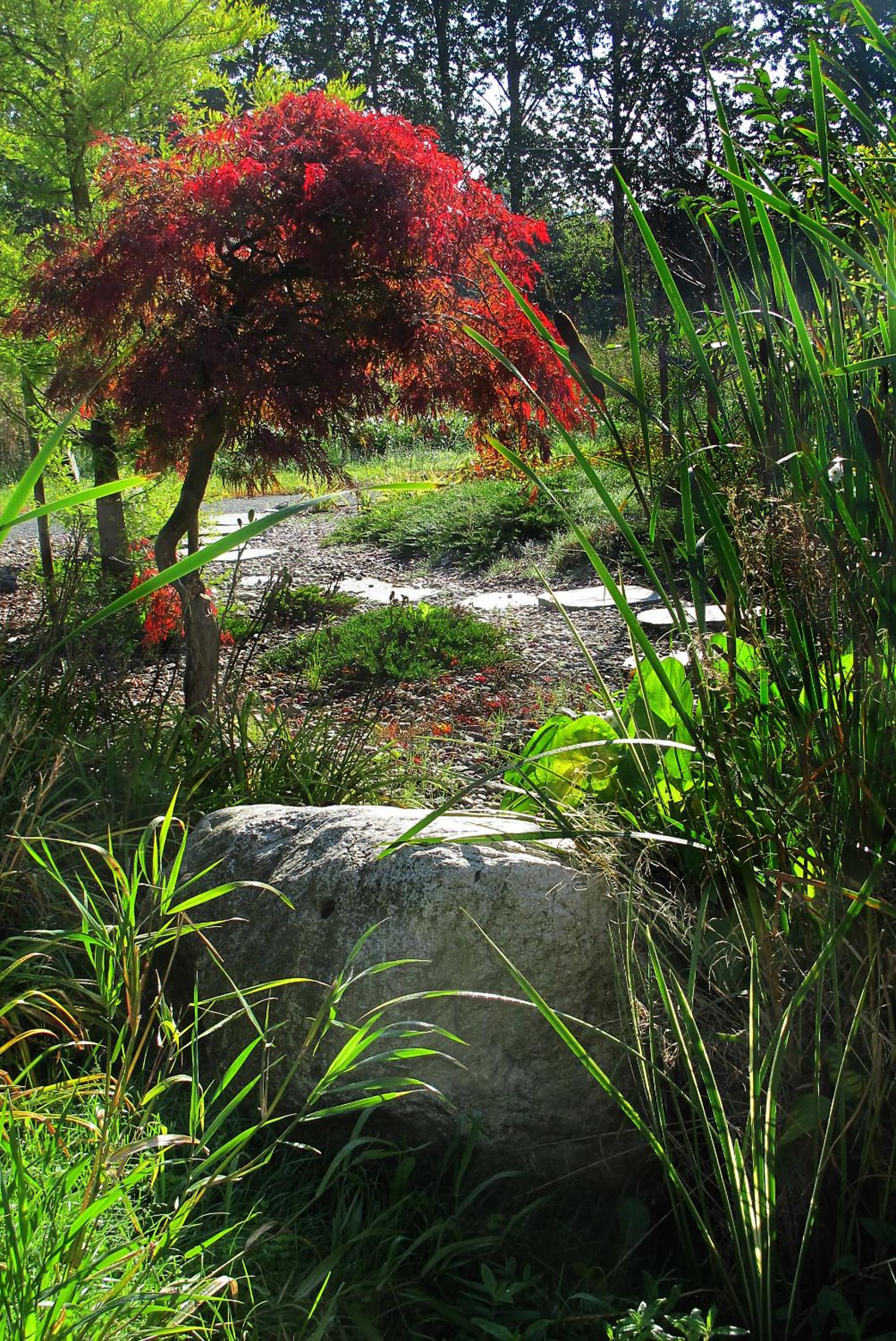 Photo 26