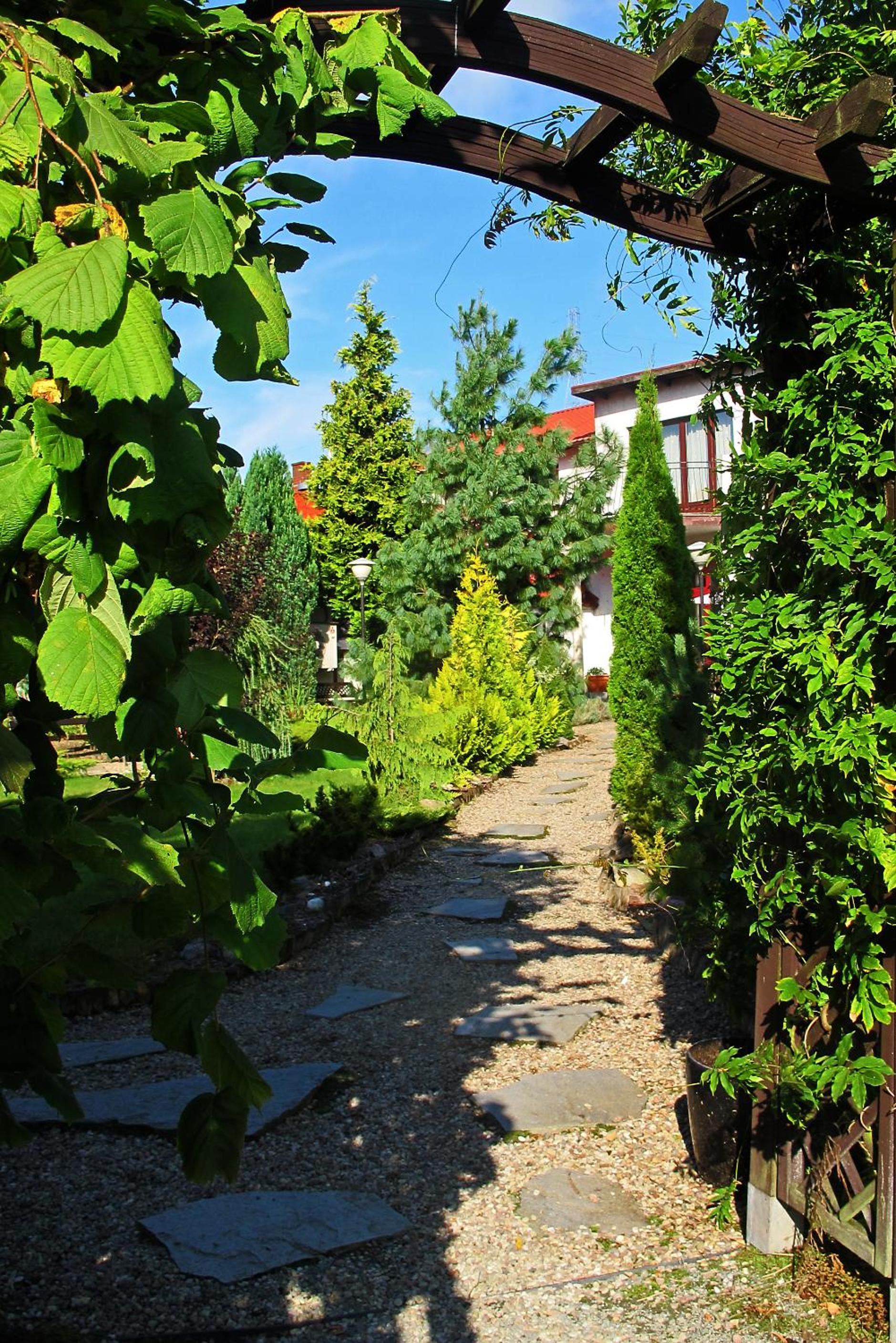 Photo 21