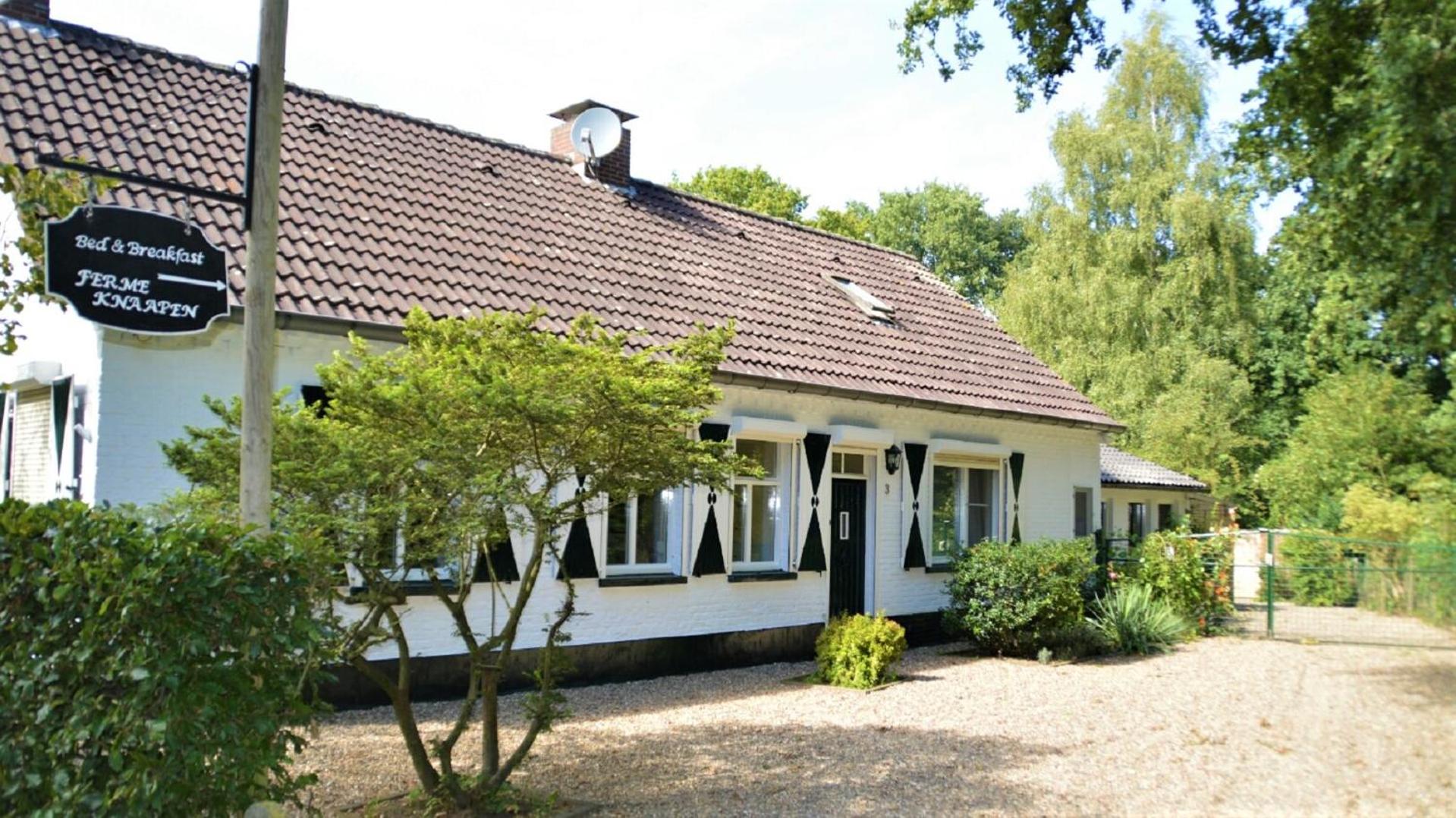 B&B Ferme Knaapen view 5