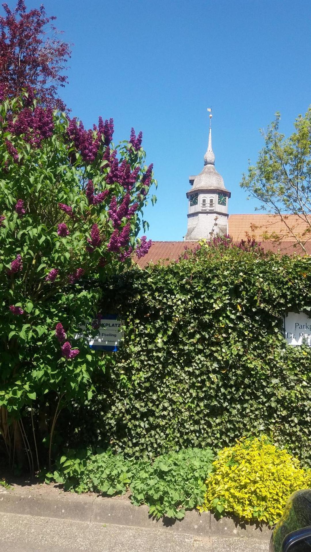 Photo 41