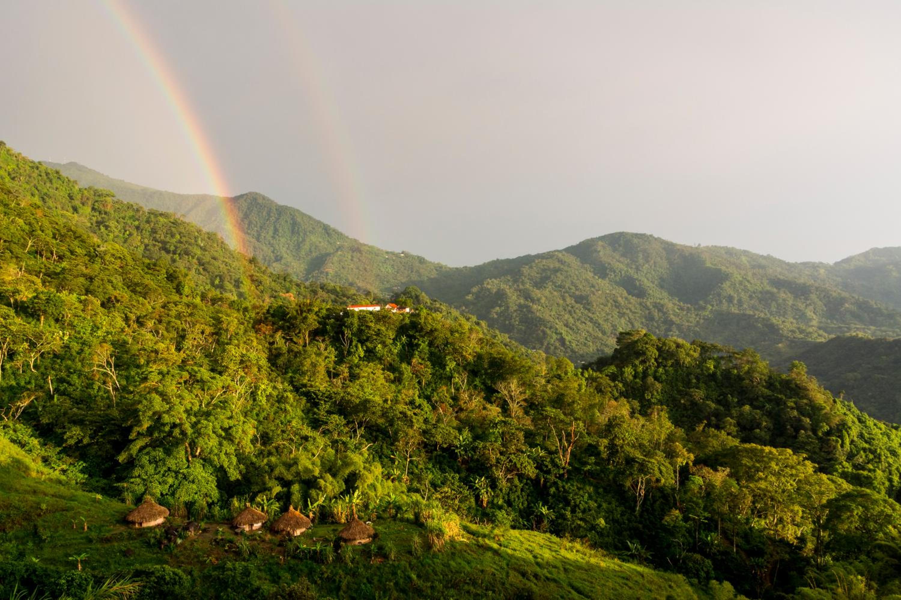 Mundo Nuevo ECO LODGE
