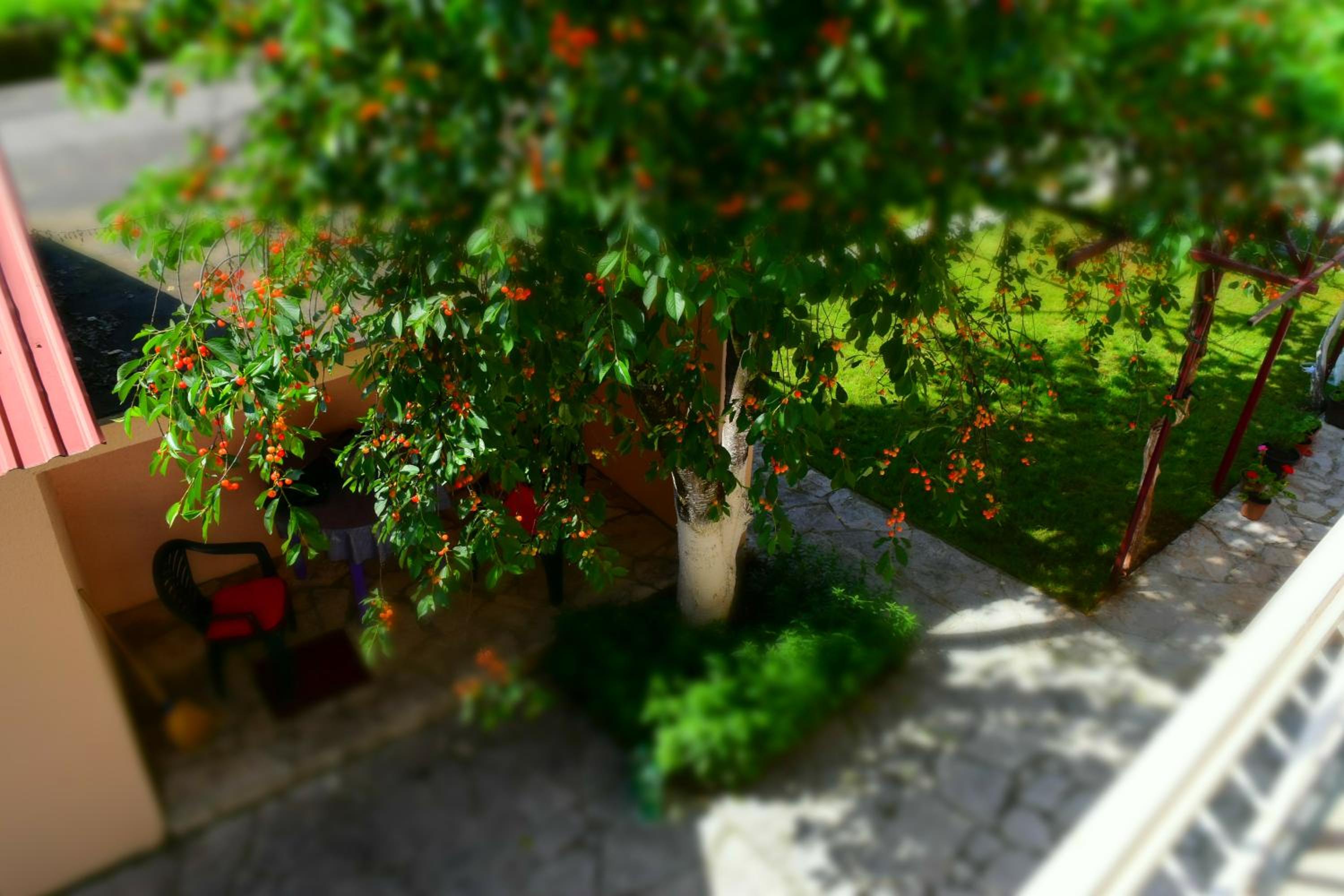 Photo 16