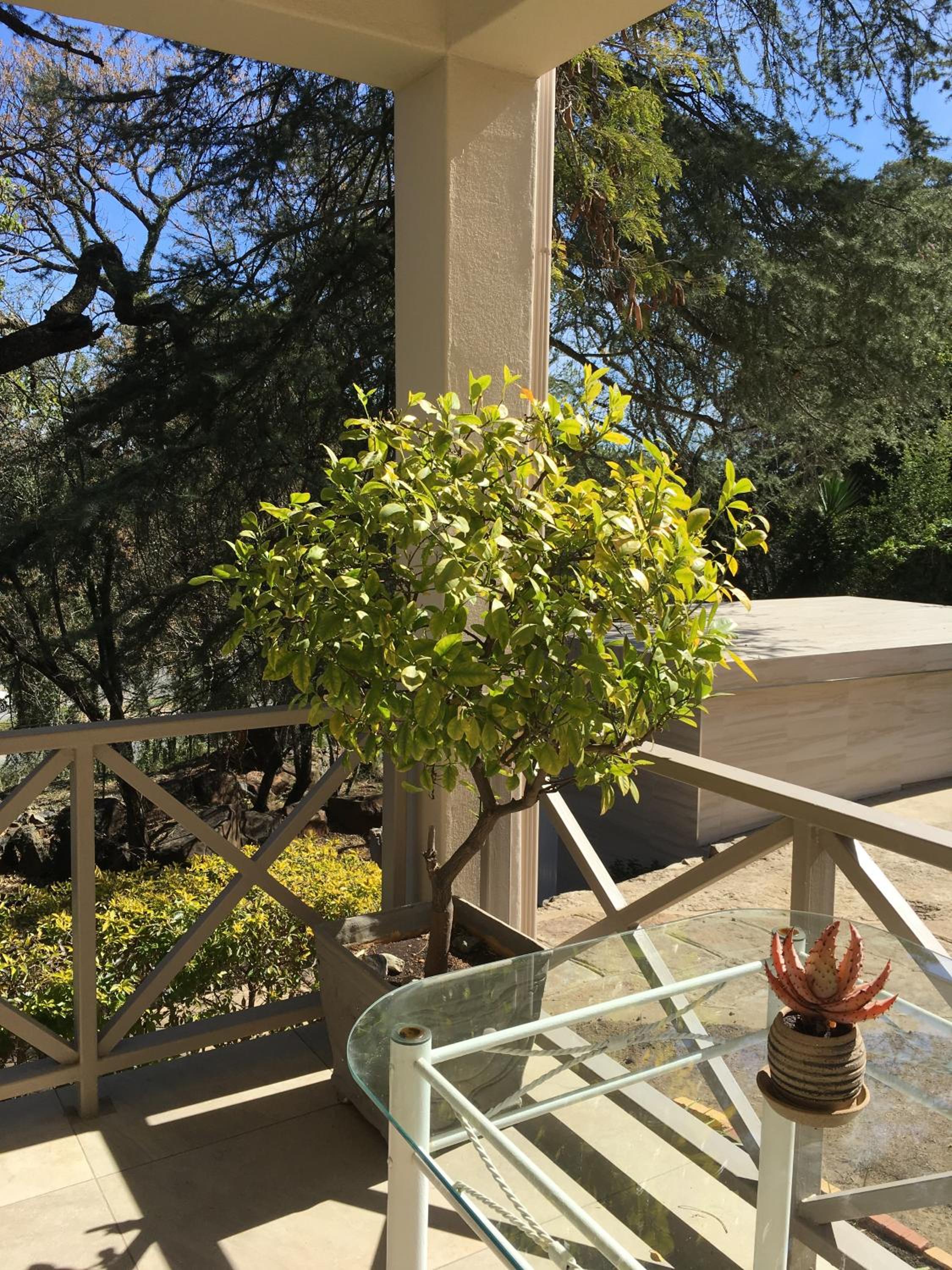 Peaches & Cream Bed & Breakfast view 5