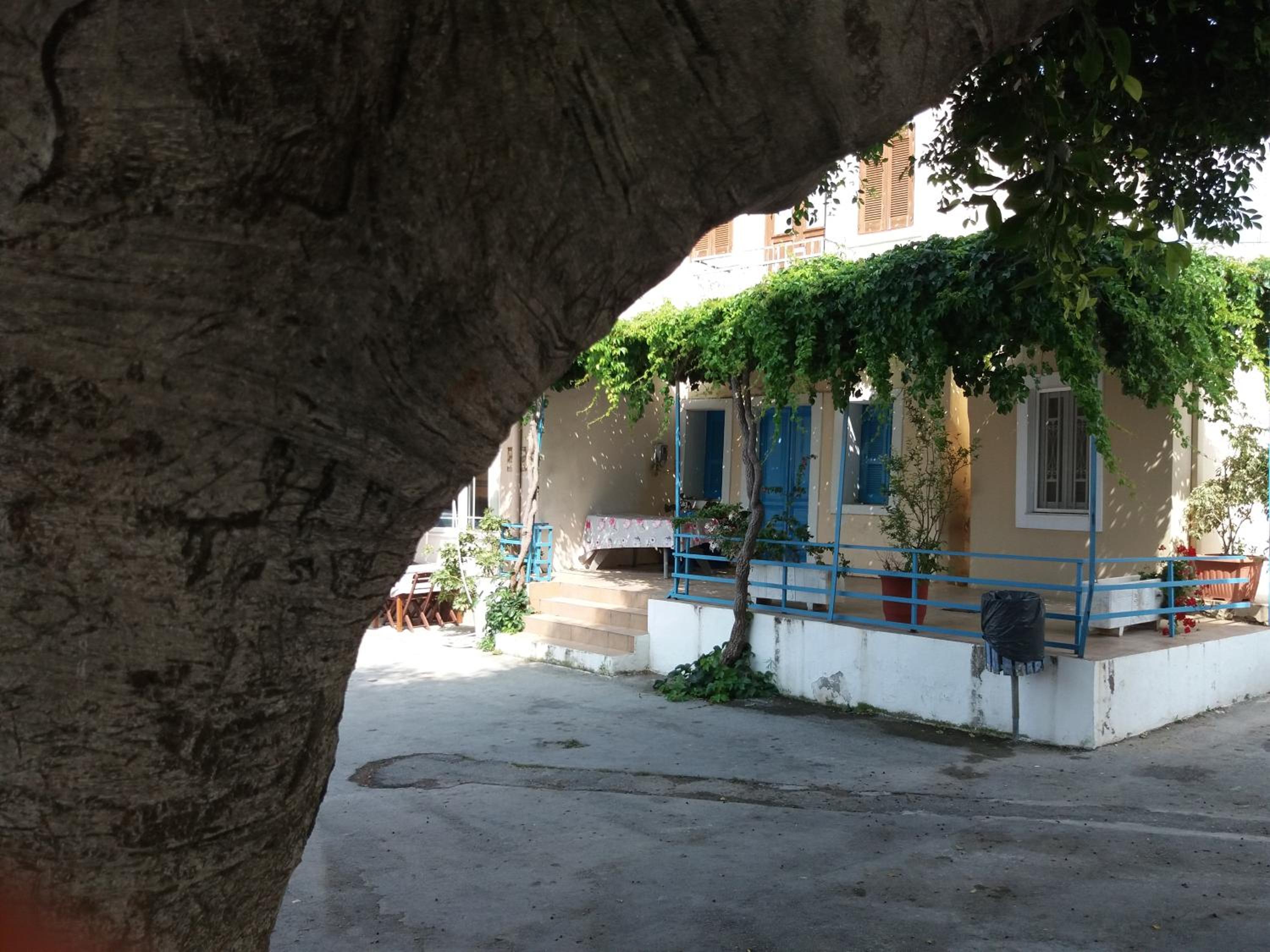 Photo 40