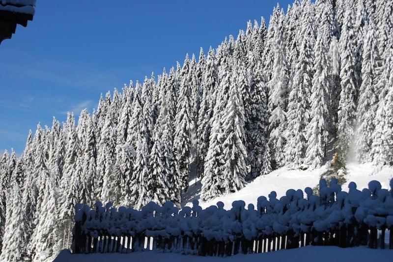 Chalet Tobià Apartments