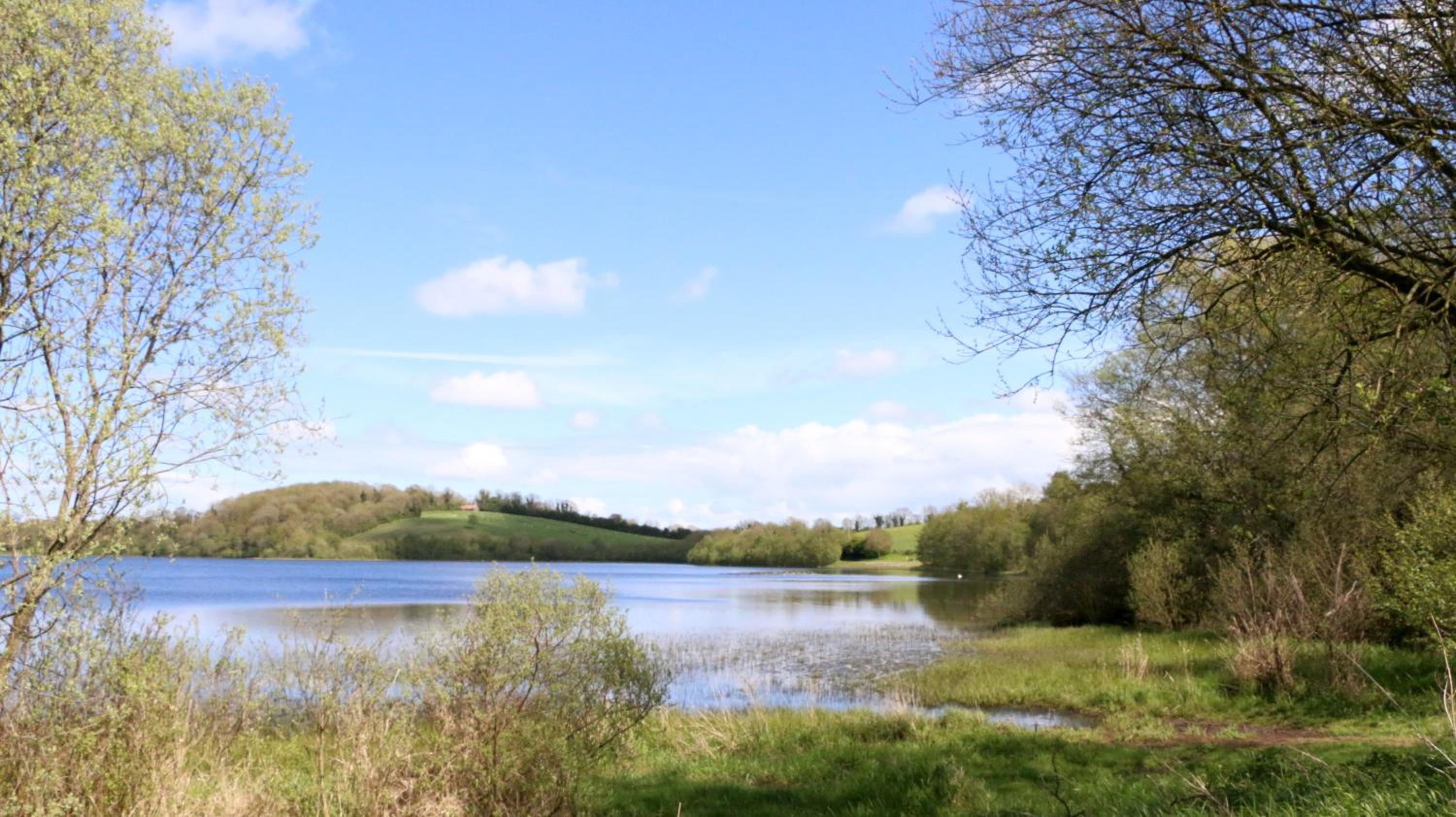 Emy Lakehouse - near Castle Leslie, Glaslough
