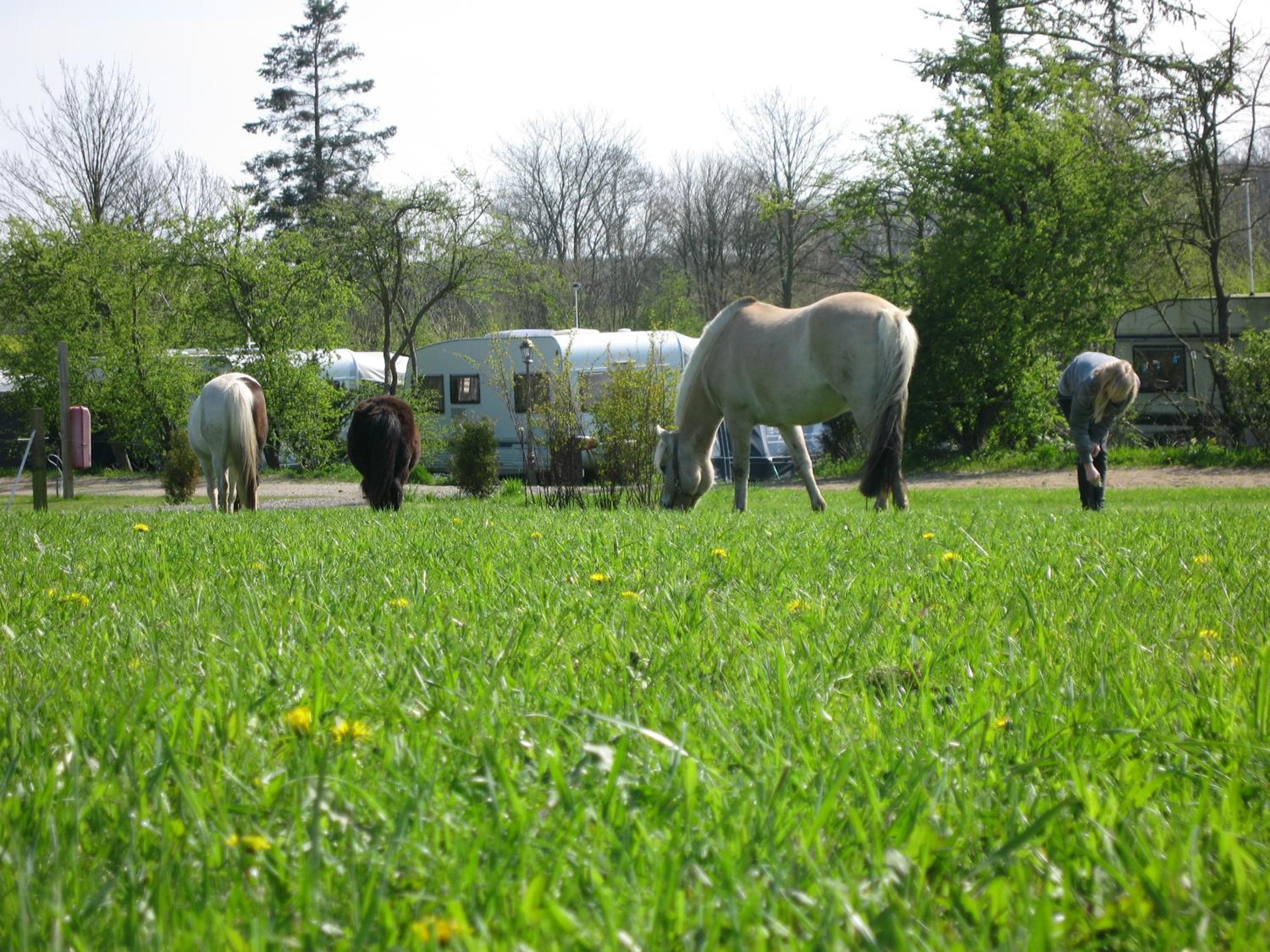 Boeslunde camping