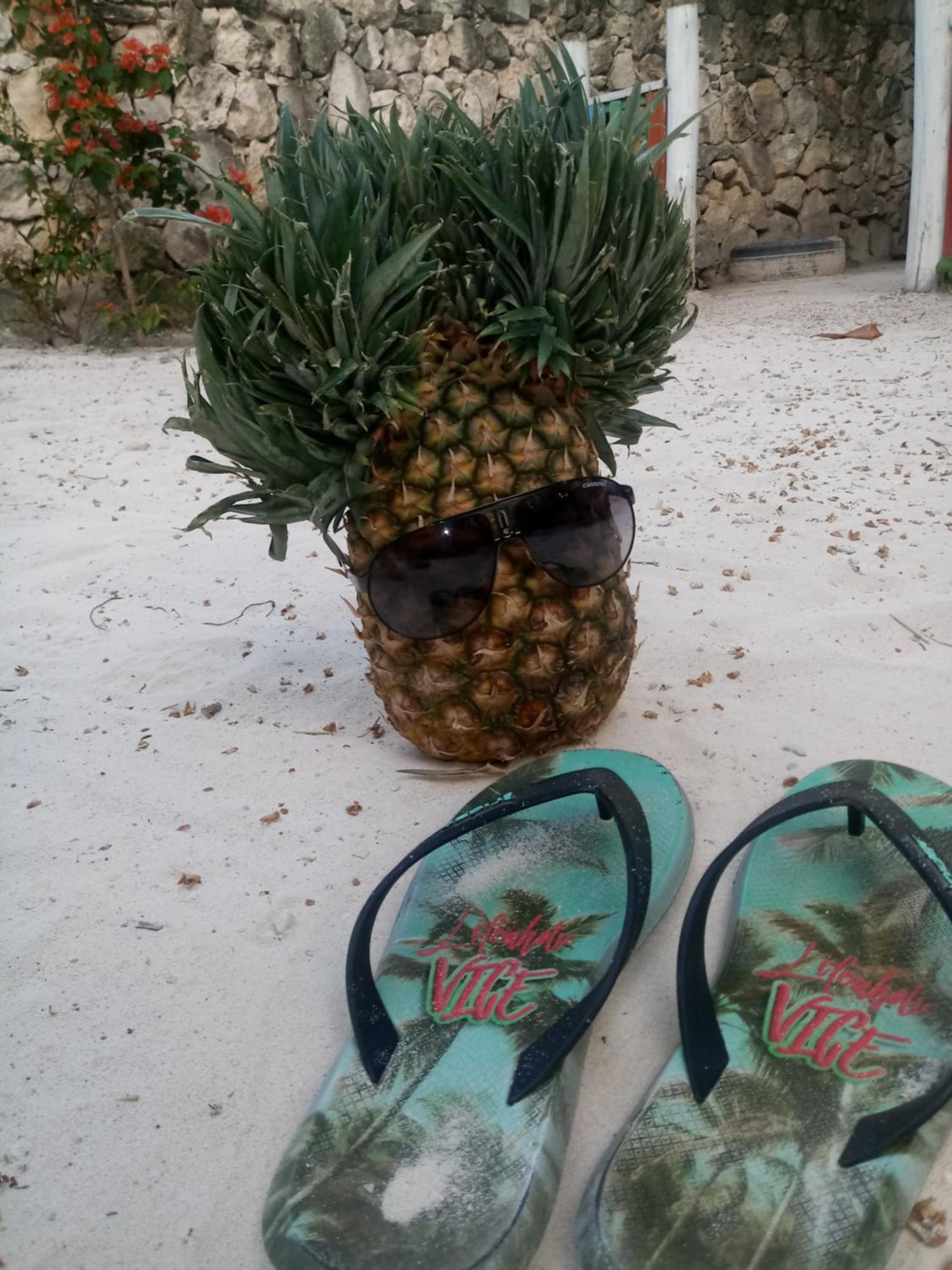 Riviera Punta Cana Eco Travelers