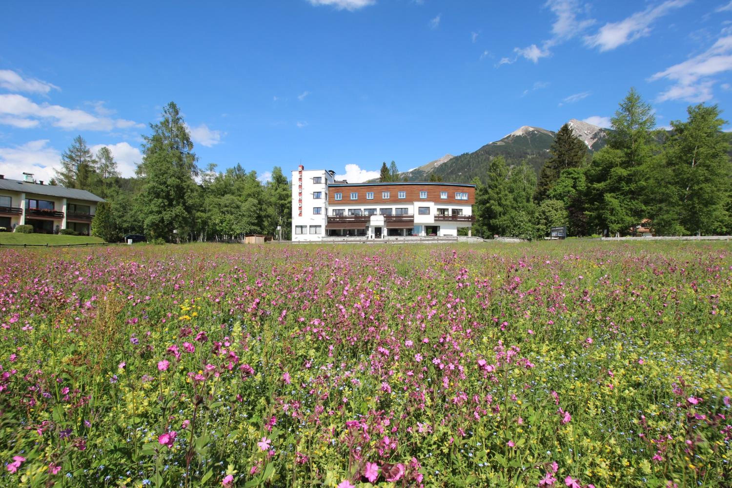 Hotel Berghof - Image 1