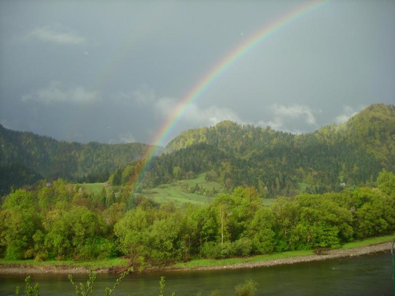 Photo 40