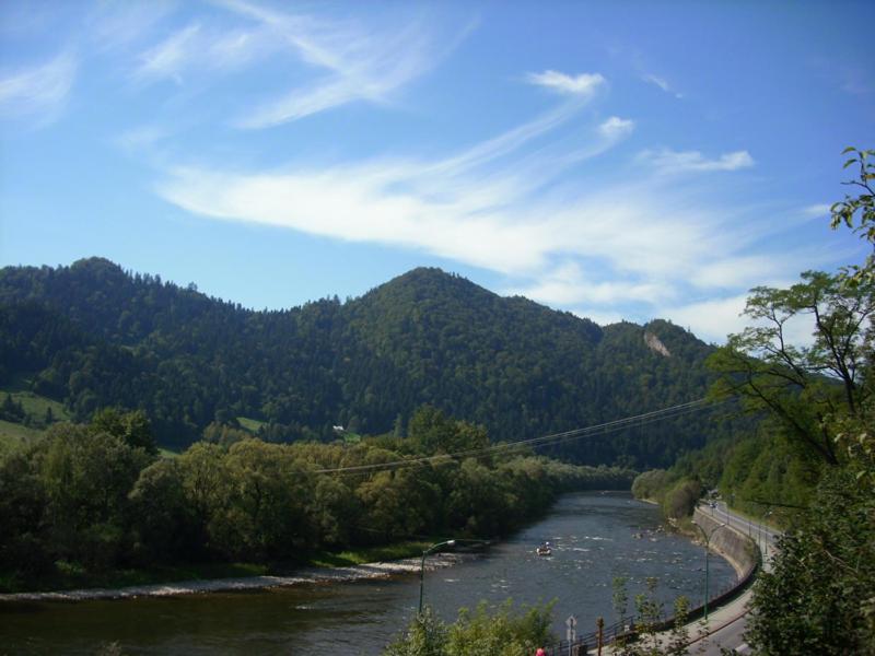 Photo 42