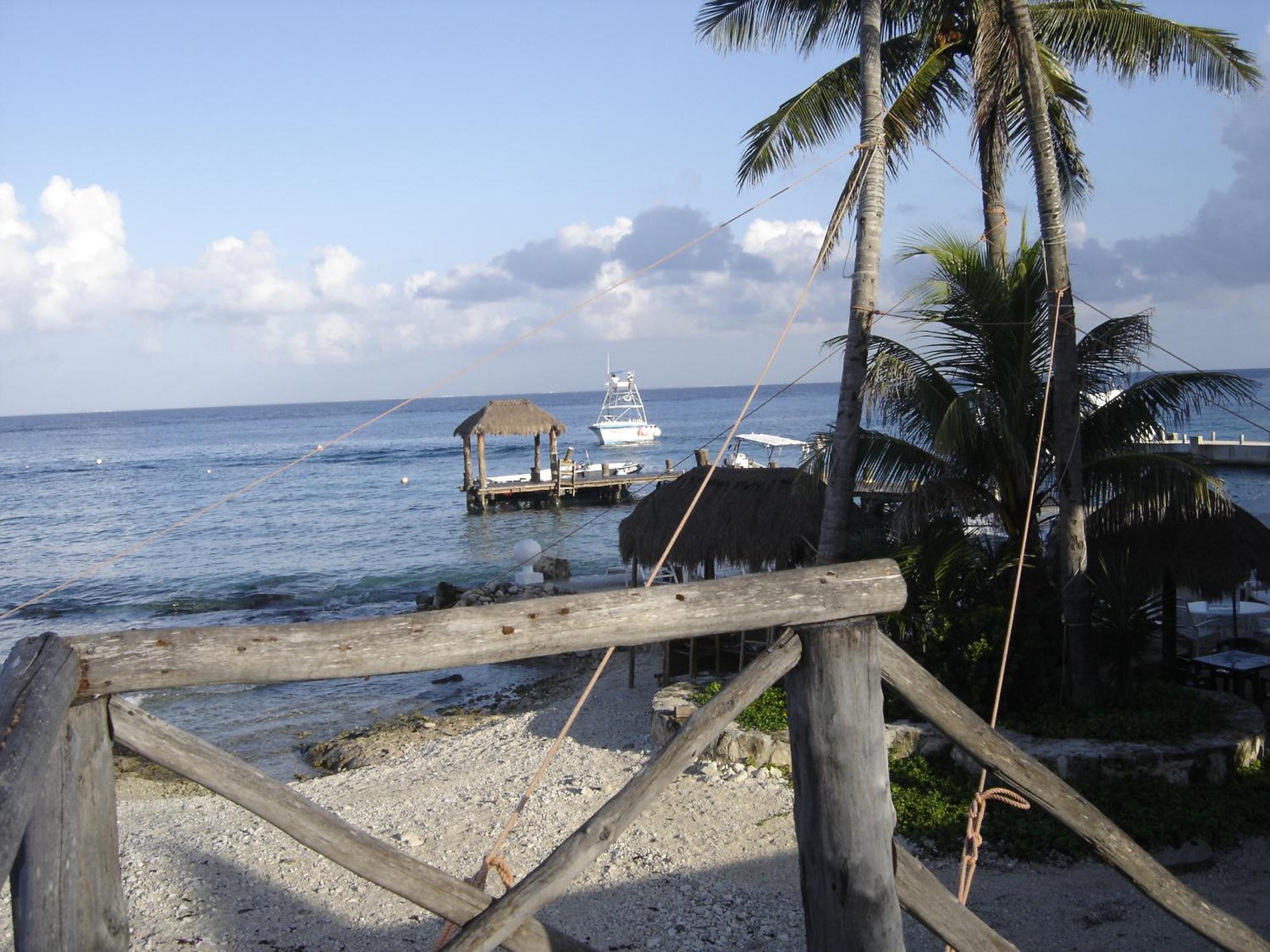 Photo 42