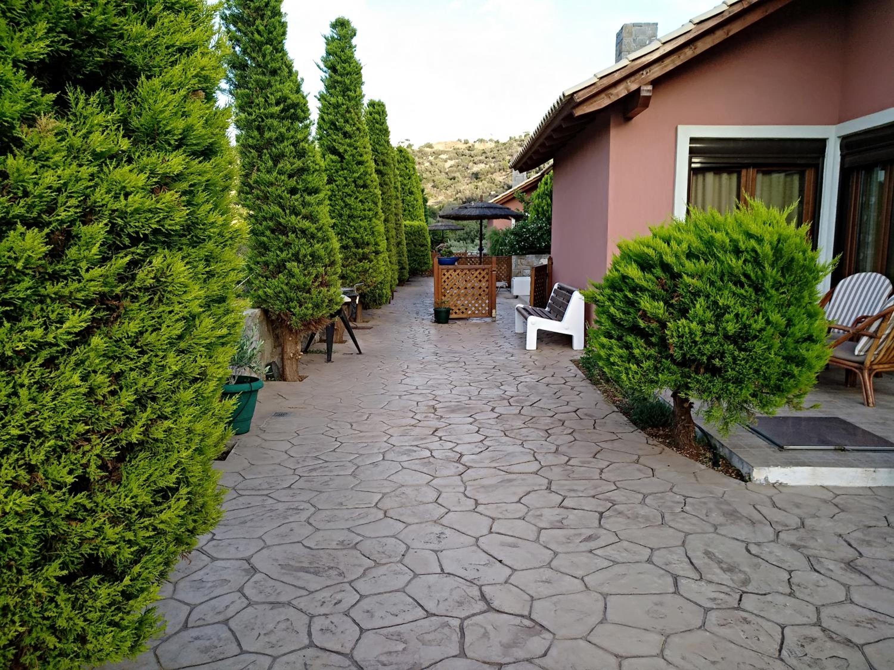 Photo 6