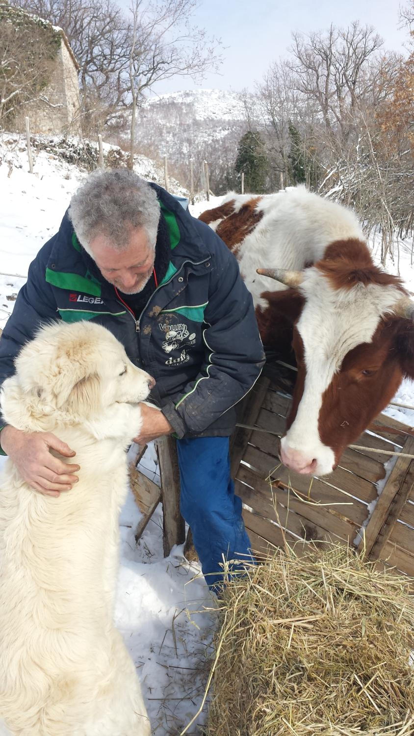 Agriturismo campagna in compagnia