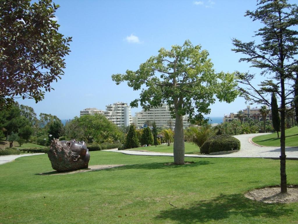 Photo 31