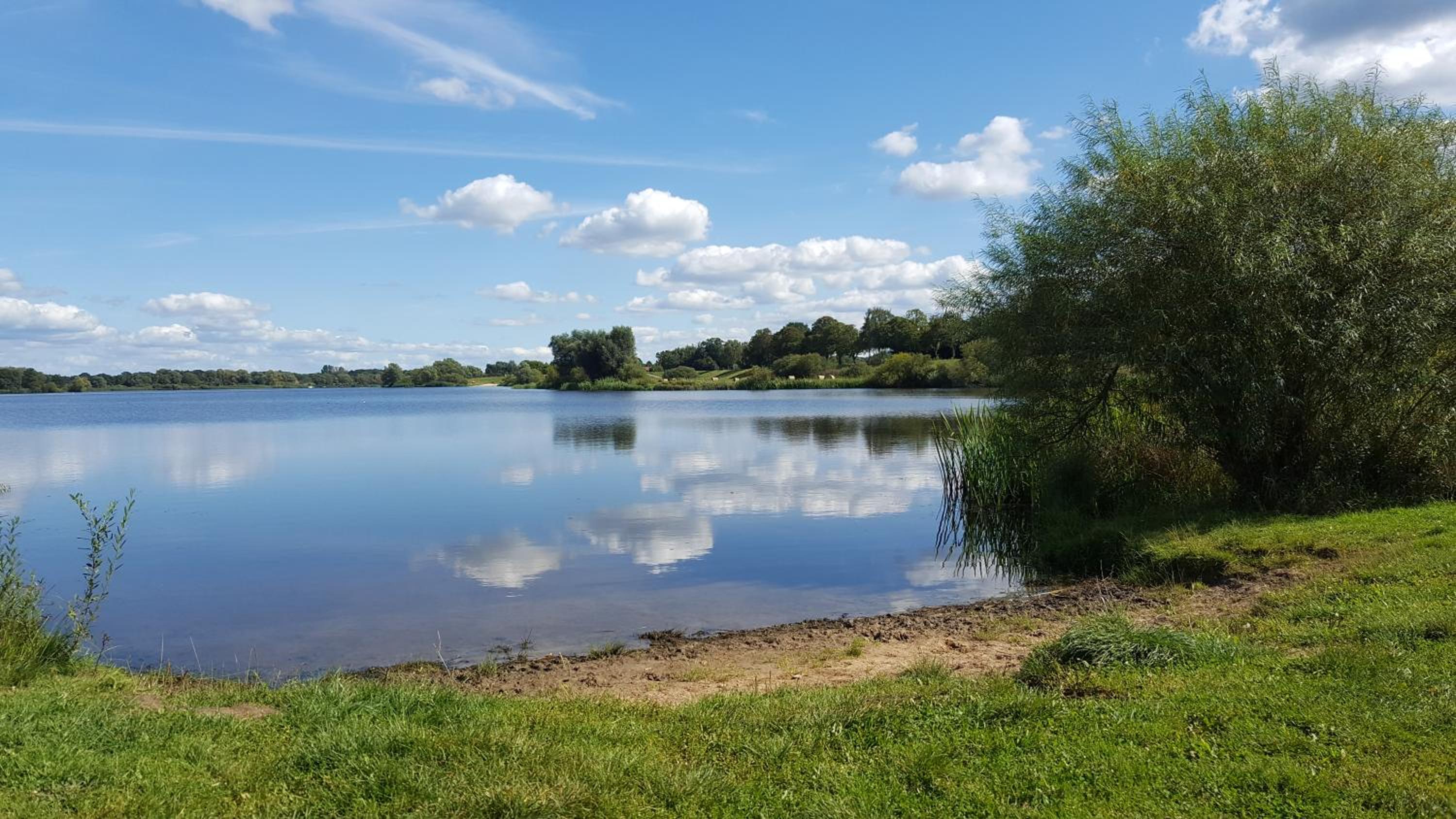 other