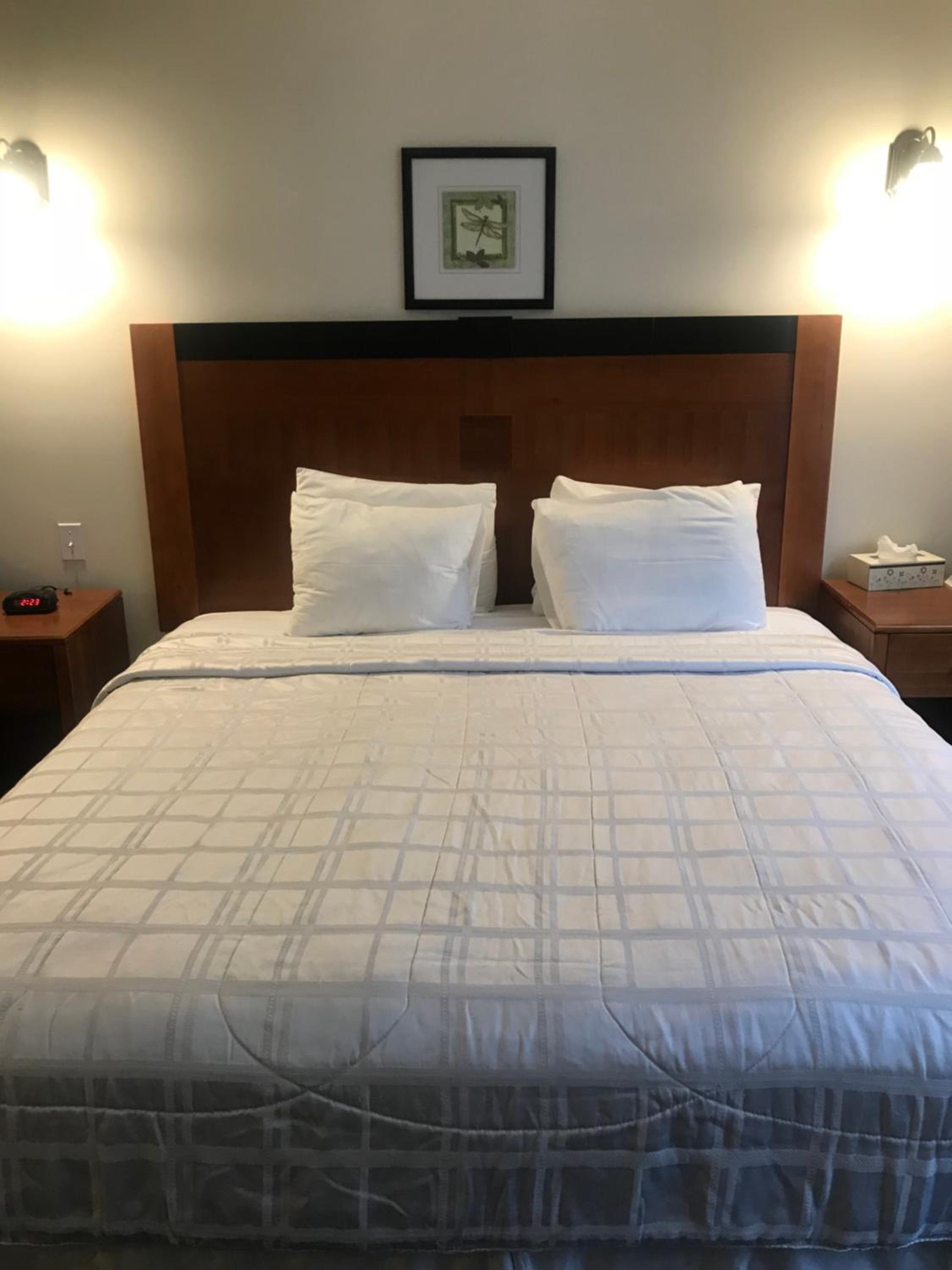 Crescent Suites Hotel - Property Image 27