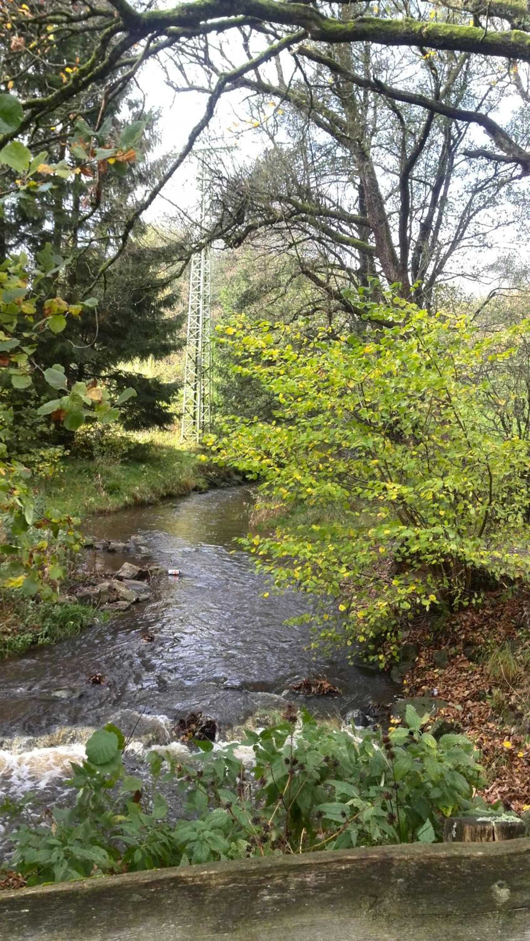 Photo 14