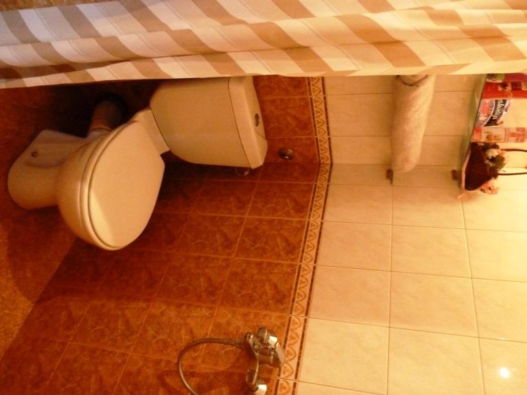 Guest House Plavas