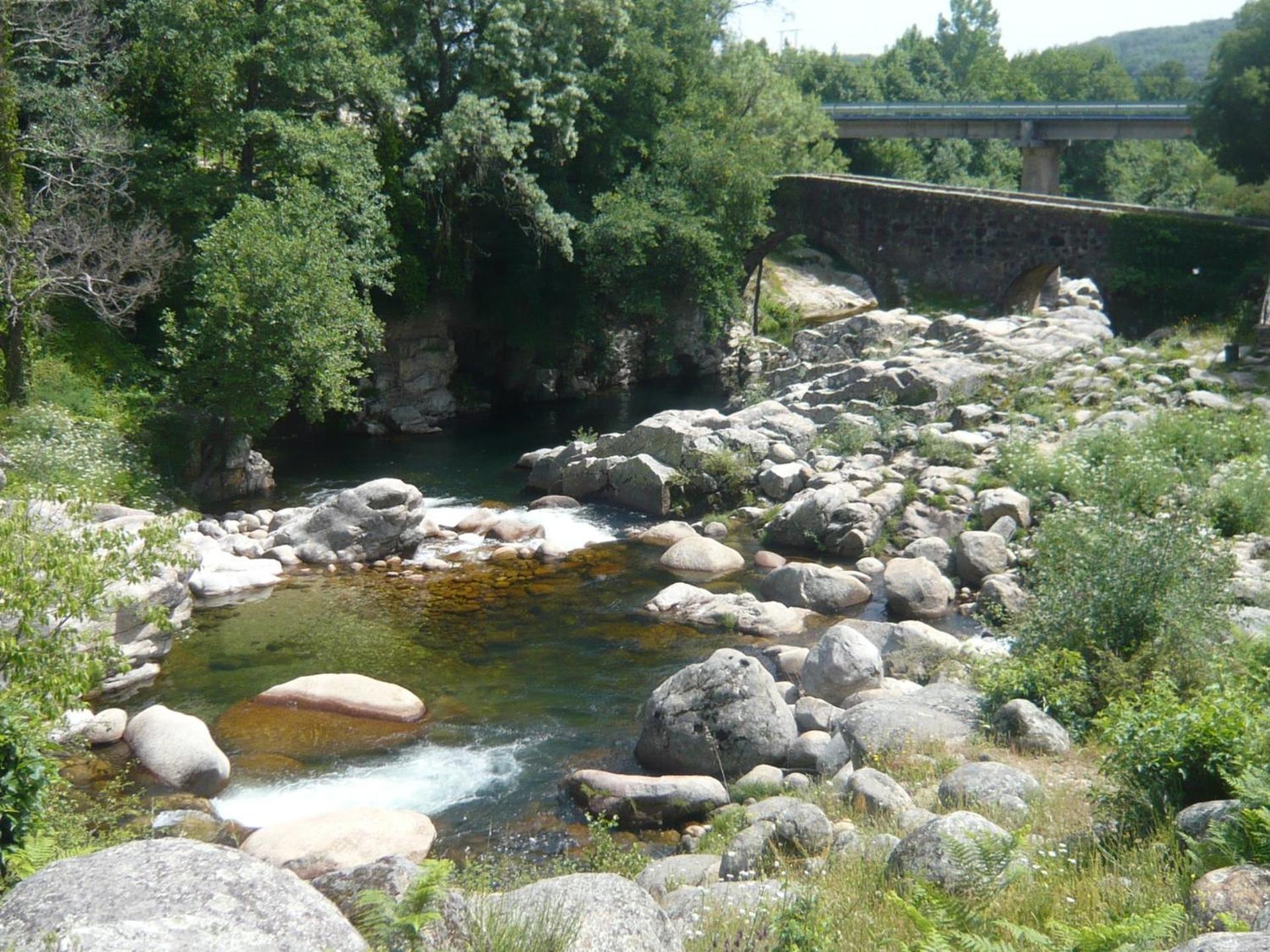Photo 42