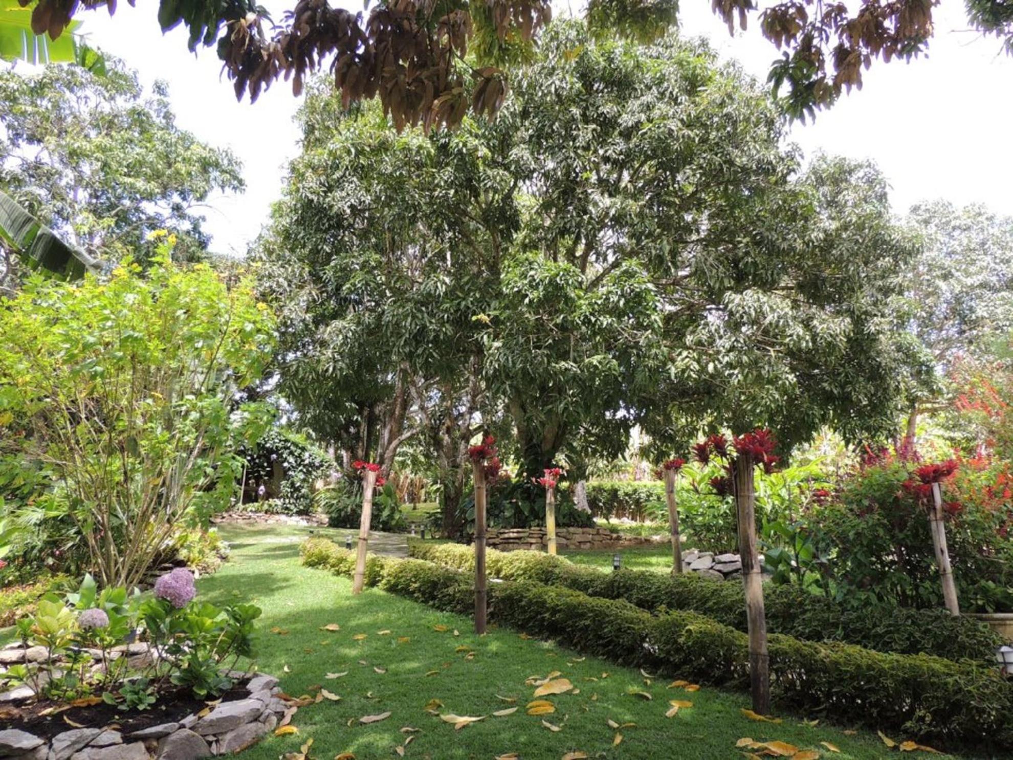 Sitio Alto da Montanha - você em paz com a natureza
