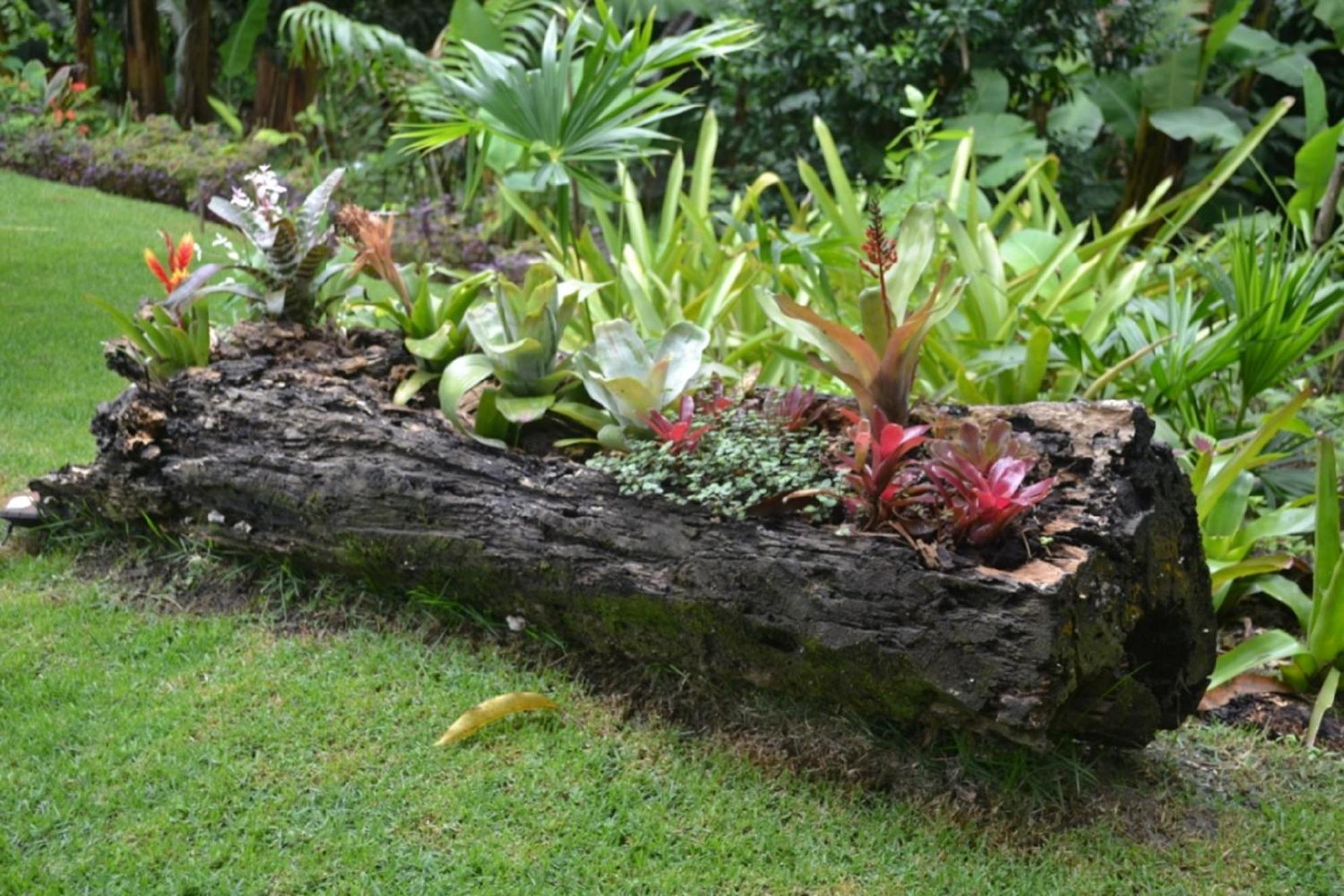 Sitio Alto da Montanha - você em paz com a natureza