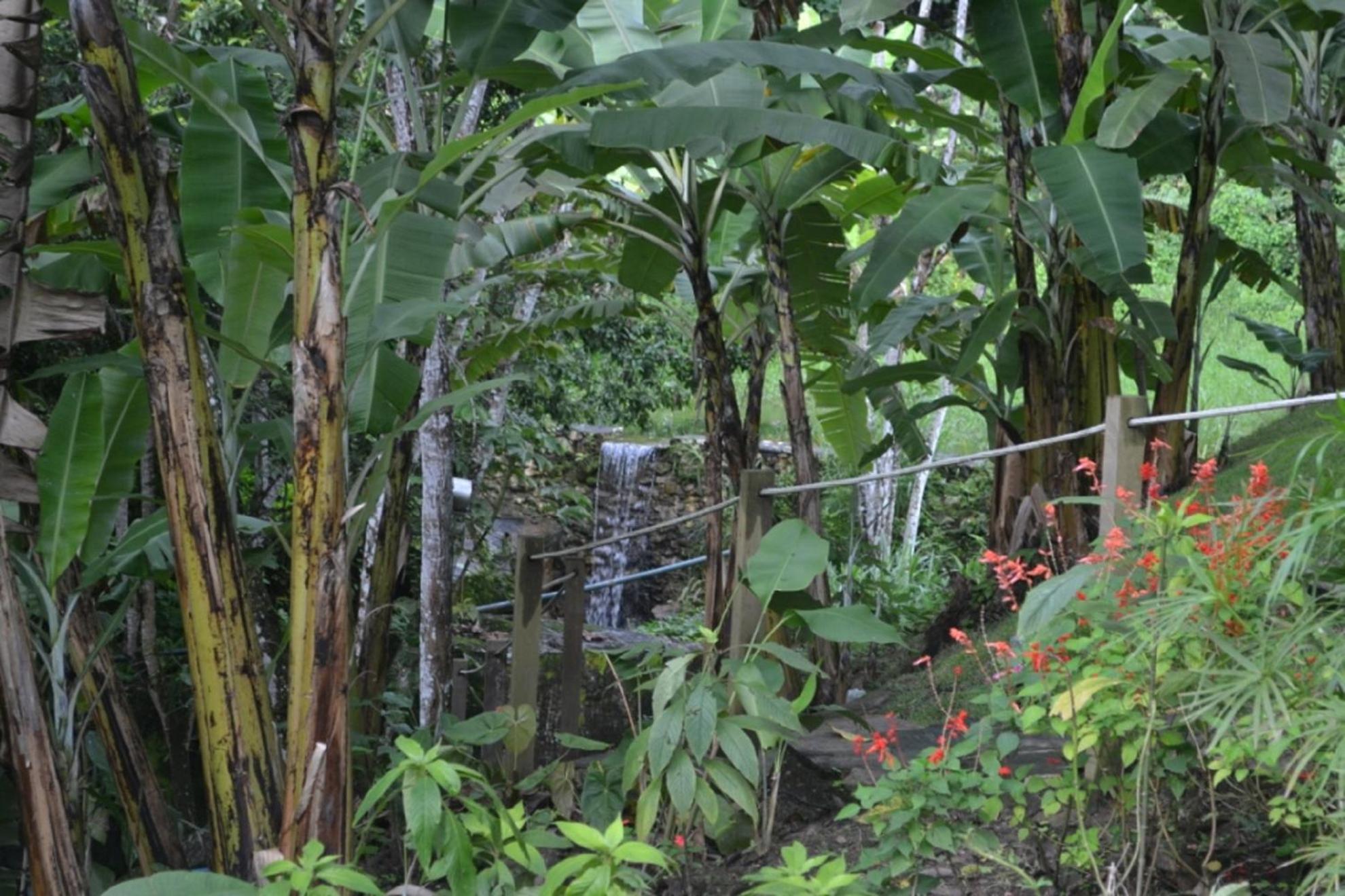 Sitio Alto da Montanha - você em paz com a natureza
