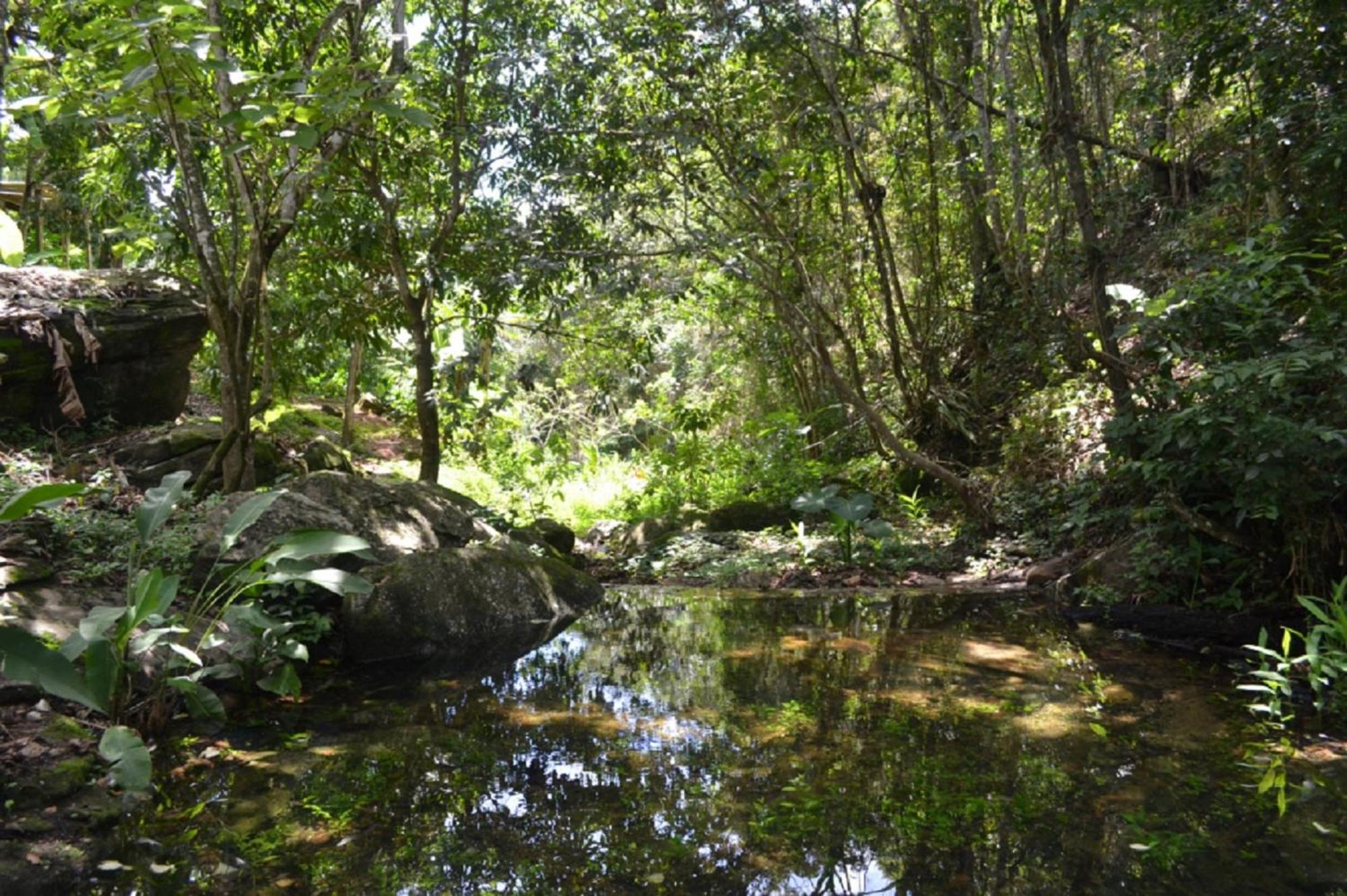 Sitio Alto da Montanha - você em paz com a natureza