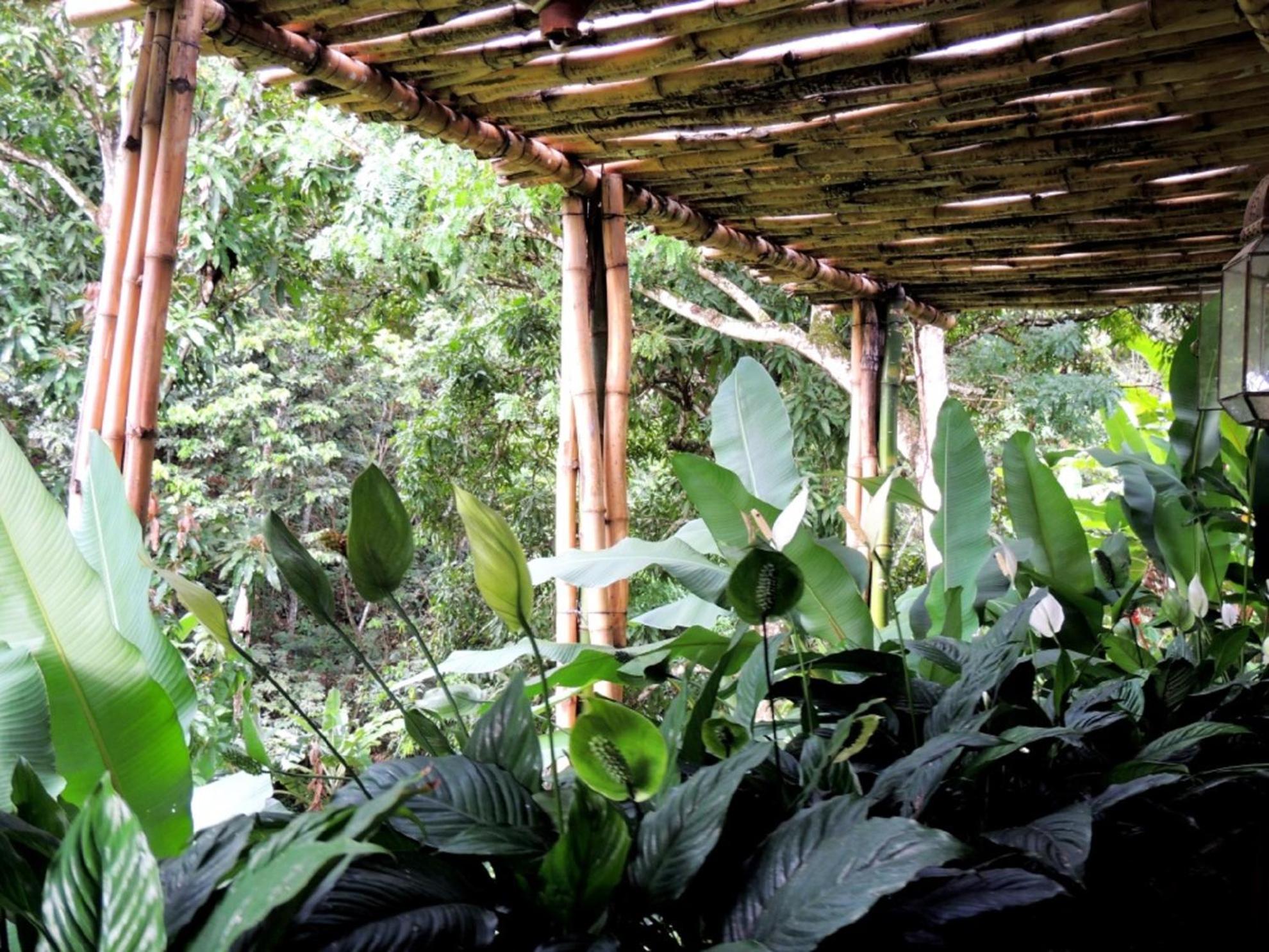 Sitio Alto da Montanha - você em paz com a natureza