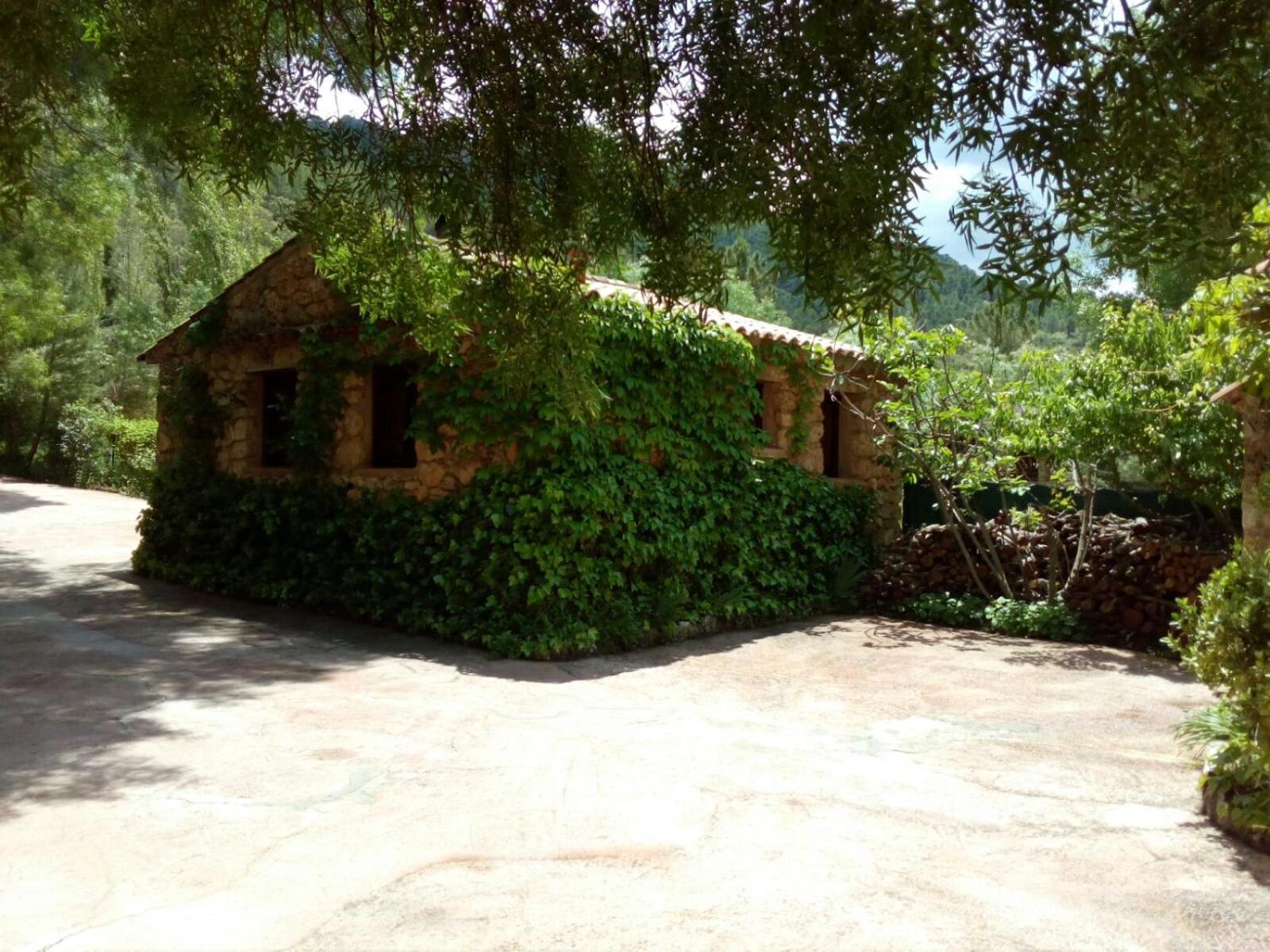 Photo 19