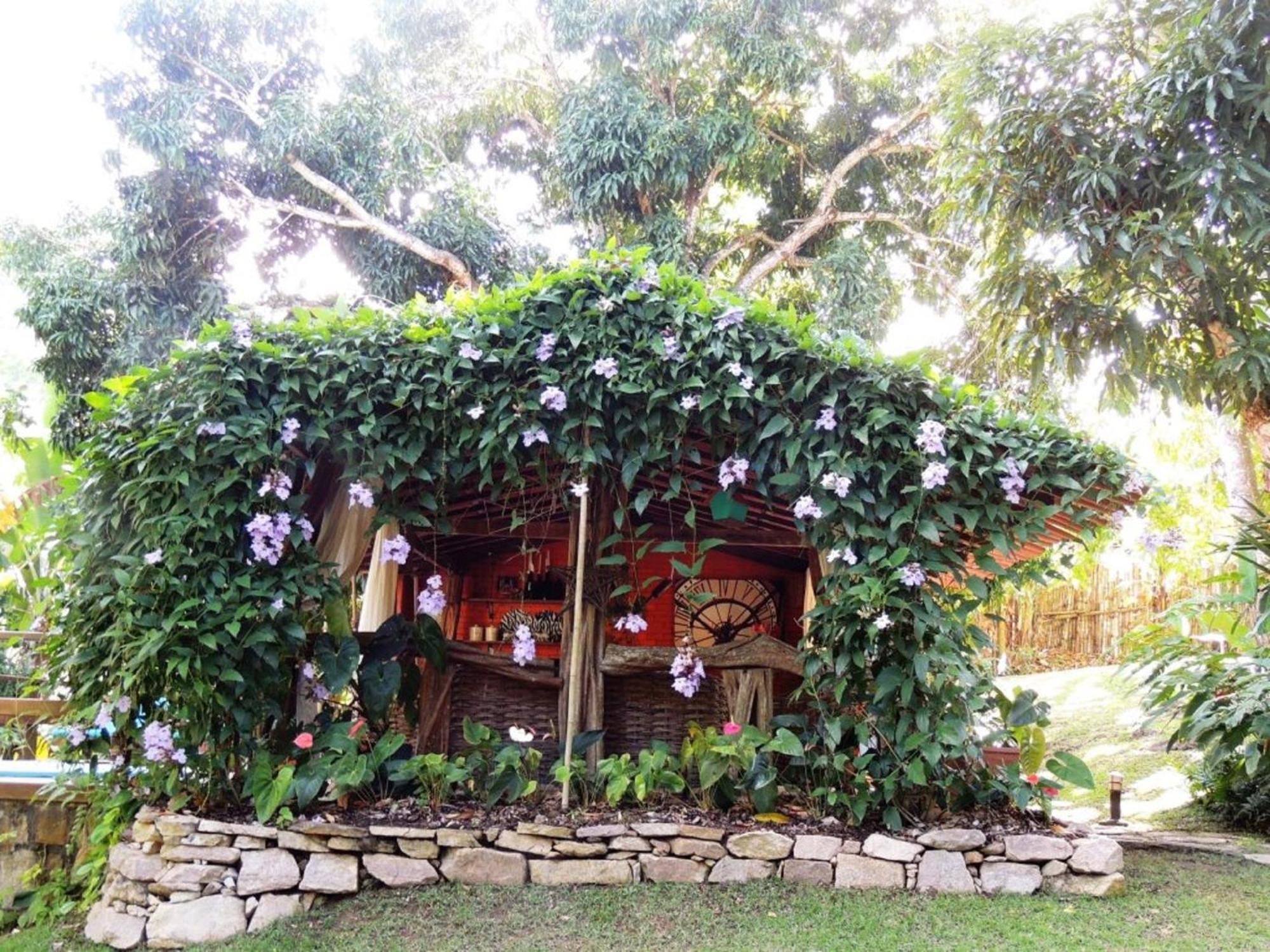 Sitio Alto da Montanha - você em paz com a natureza