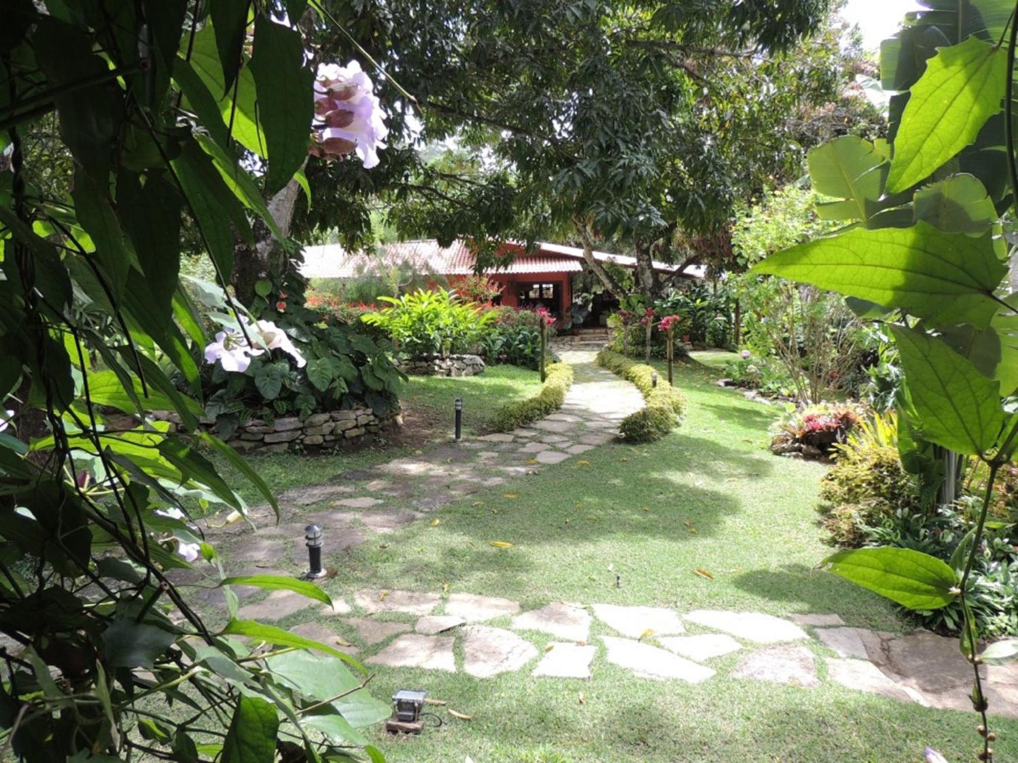 Sitio Alto da Montanha - você em paz com a natureza
