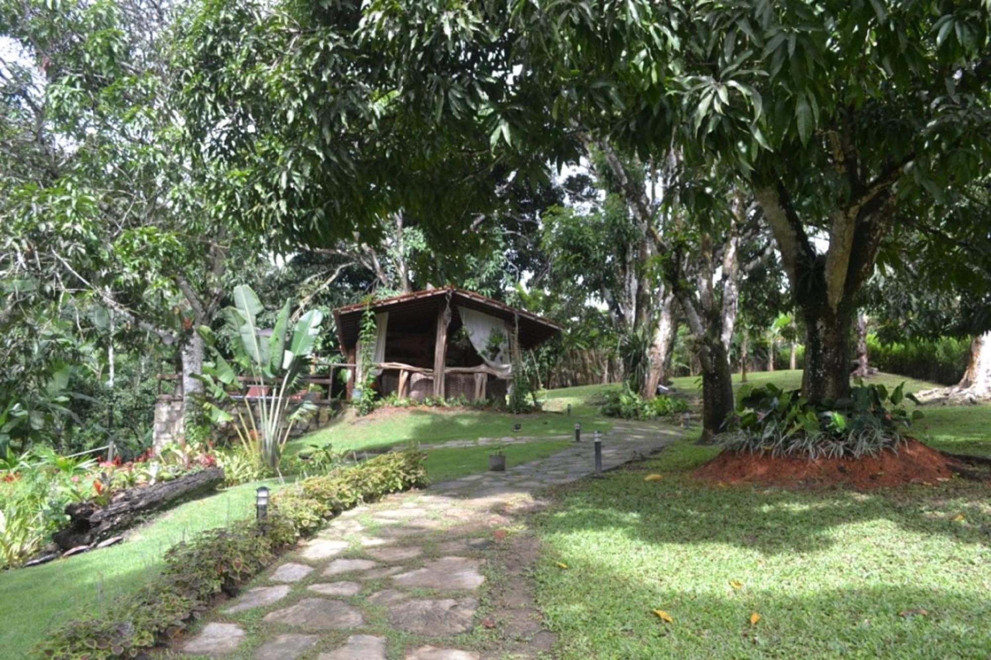 Sitio Alto da Montanha - você em paz com a natureza