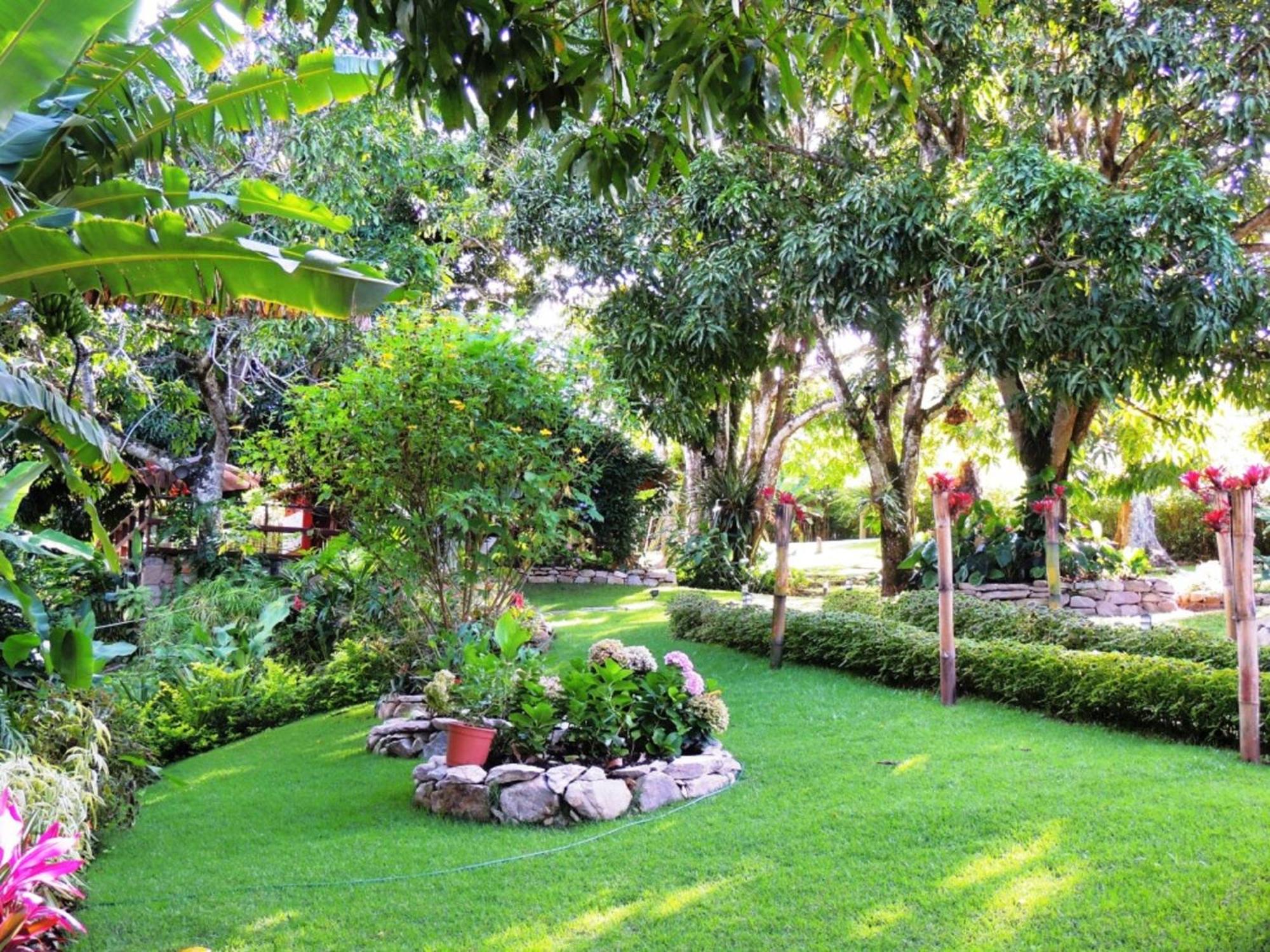 Sitio Alto da Montanha - você em paz com a natureza