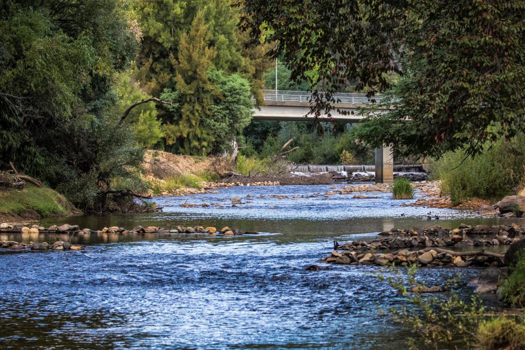 Discovery Parks - Mount Buffalo