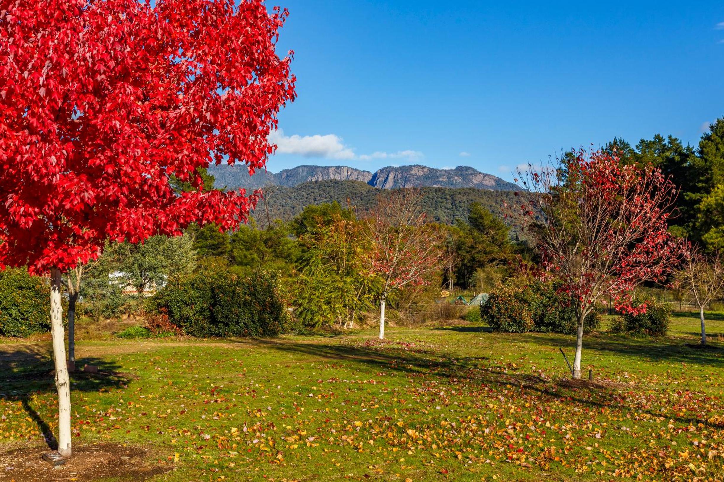 Discovery Parks - Mount Buffalo