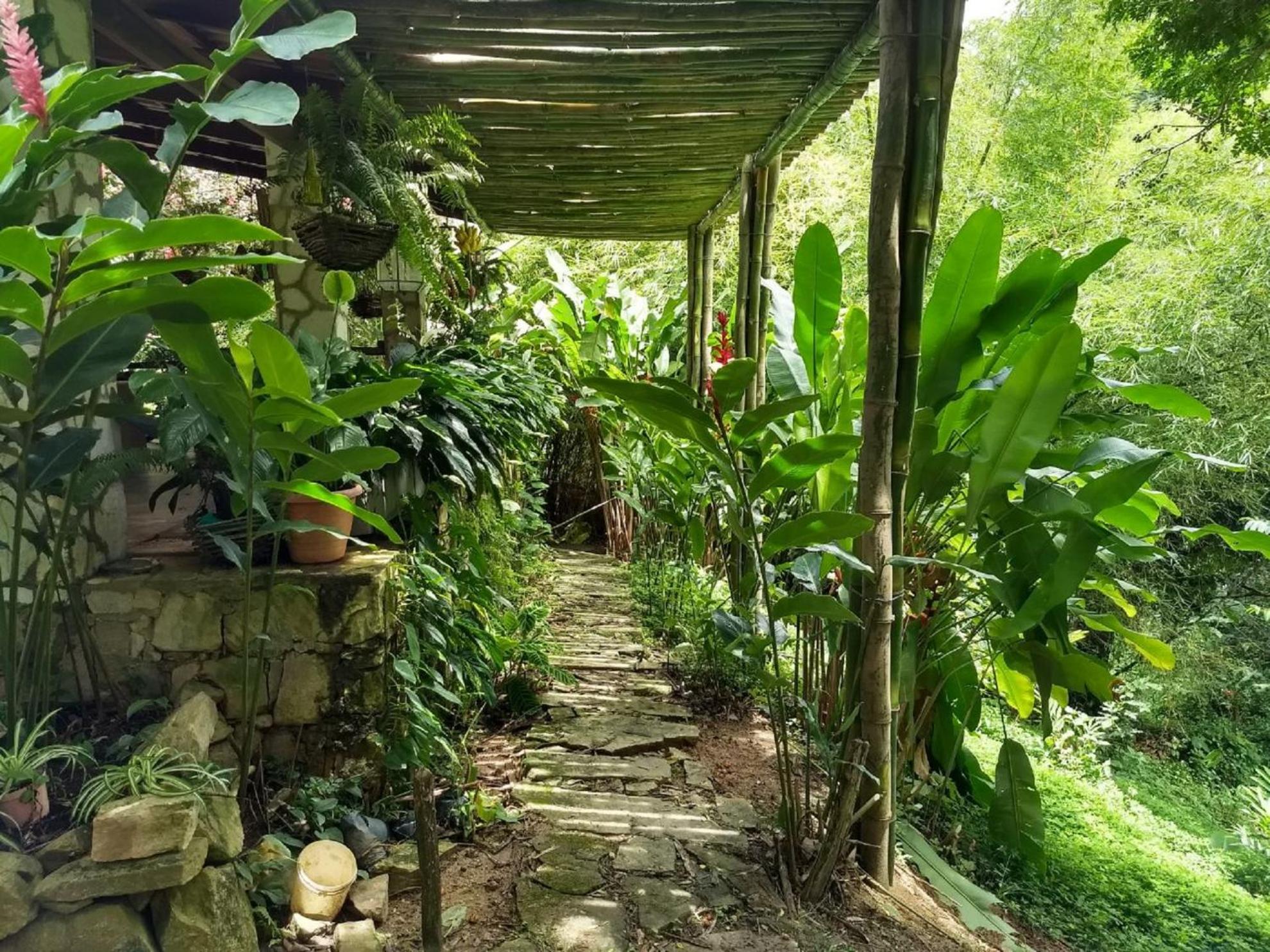 Sitio Alto da Montanha - você em paz com a natureza